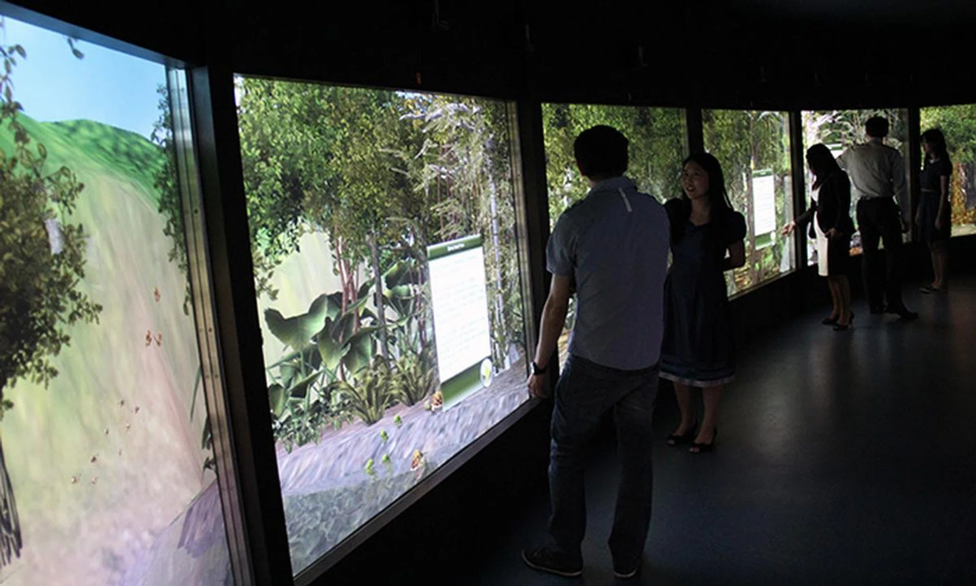 The Rainforest theme puts students in a rainforest environment filled with insects and animals that can be tapped on to reveal more information.