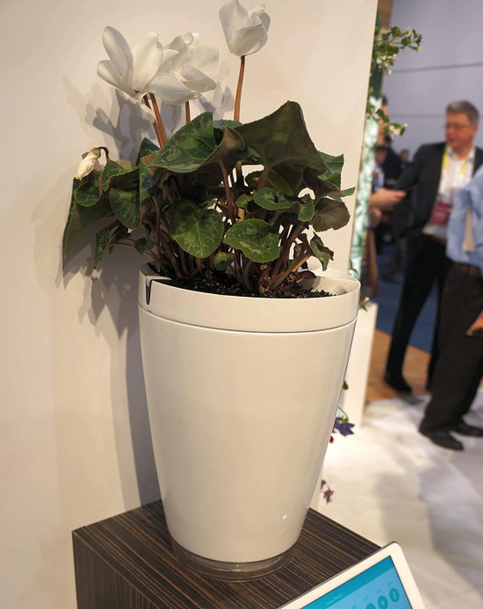 Somewhat similar to the Edyn Garden is this Parrot Pot that's designed for smaller sized plant maintenance as it's an individual pot based solution. Inside, it has a 32MHz wireless micro-computer, 8KB RAM, 250KB of flash storage and battery rated for 1 year of service to manage a 2.2-liter built-in water tank to sprinkle or water the plant at the right time and the right amount based on the plant type and environment conditions such as ... 