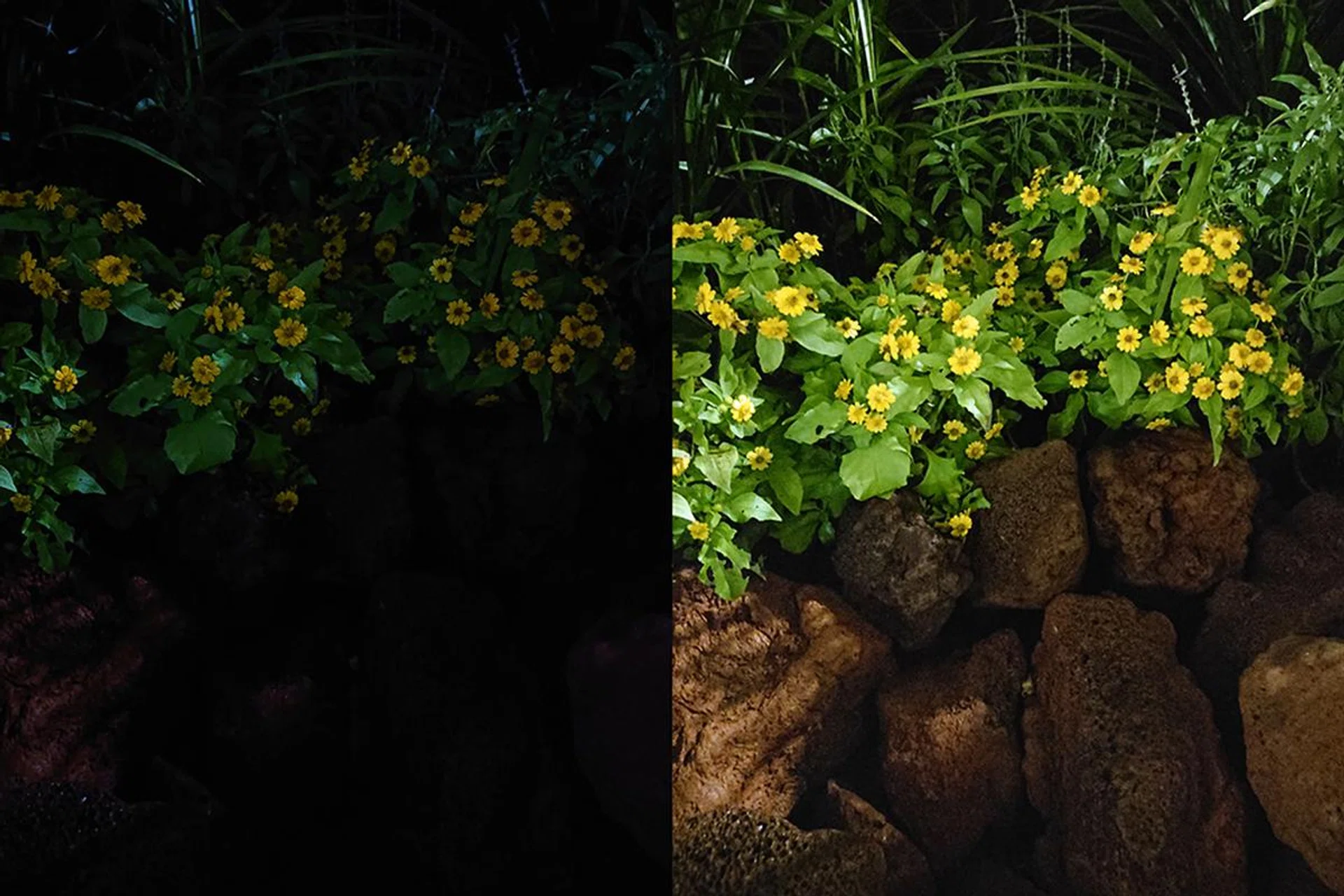 Without UHS (left), and with UHS turned on (right).