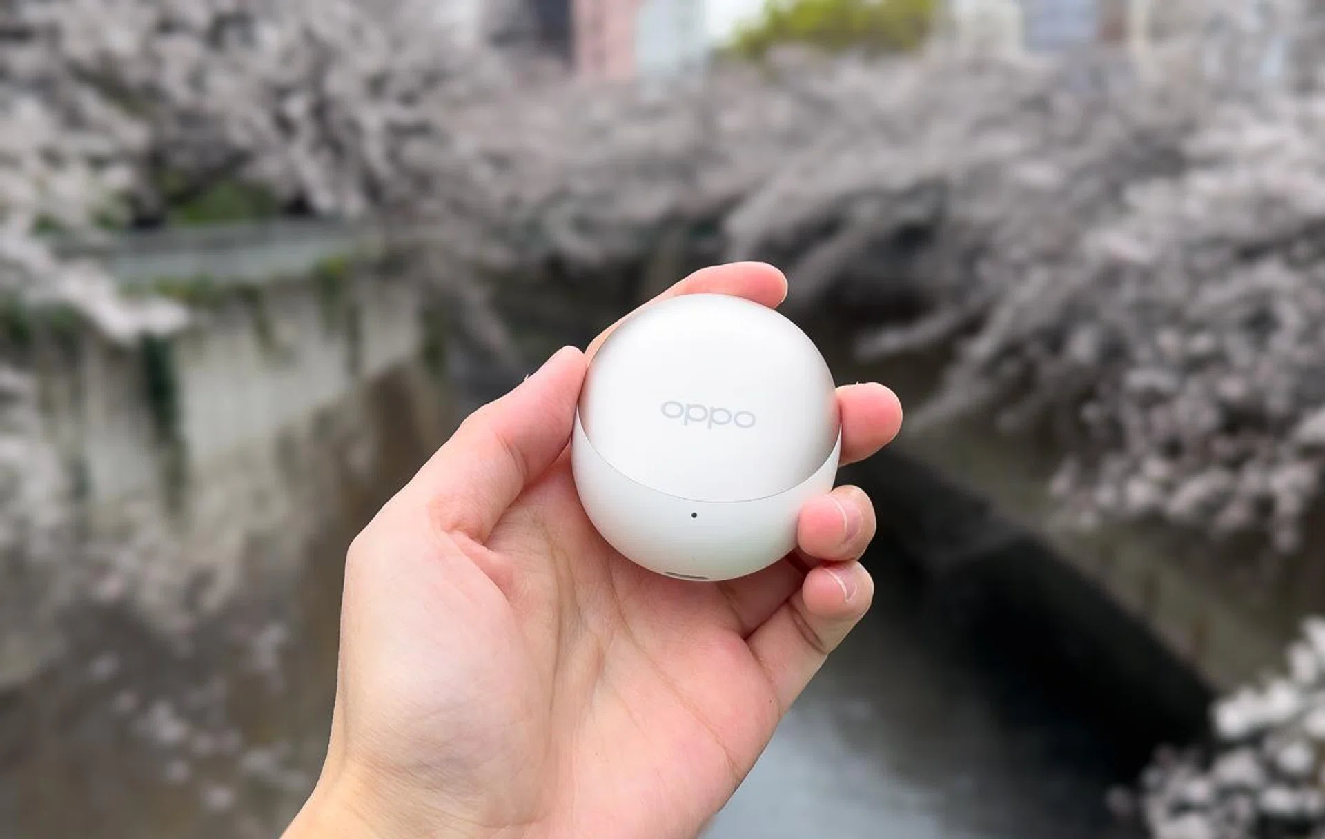 The charging case is small and easy to hold.