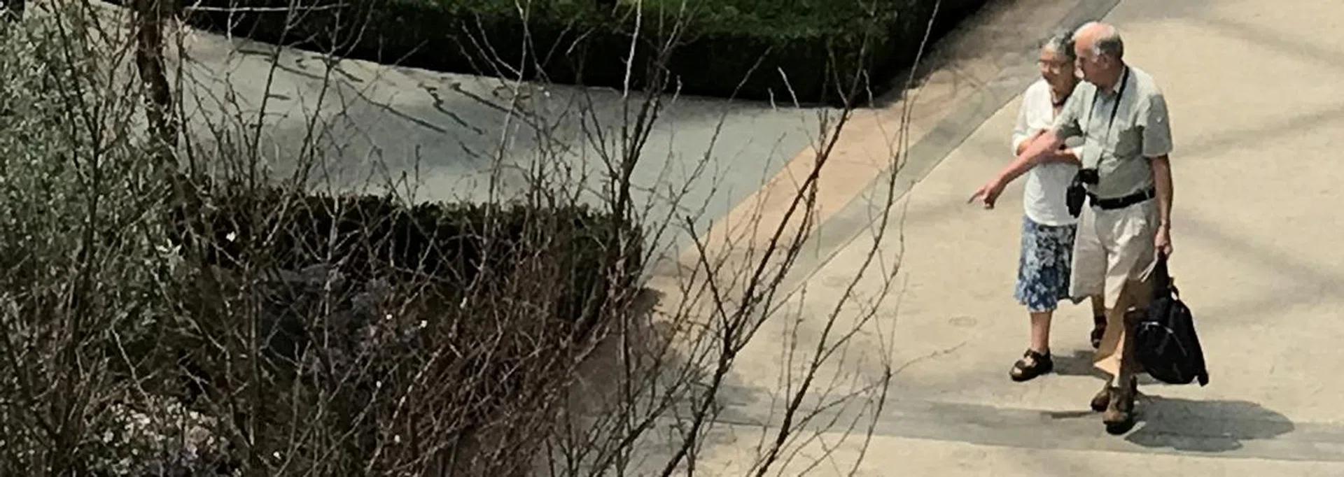 100% crop. Apple iPhone 6s Plus.