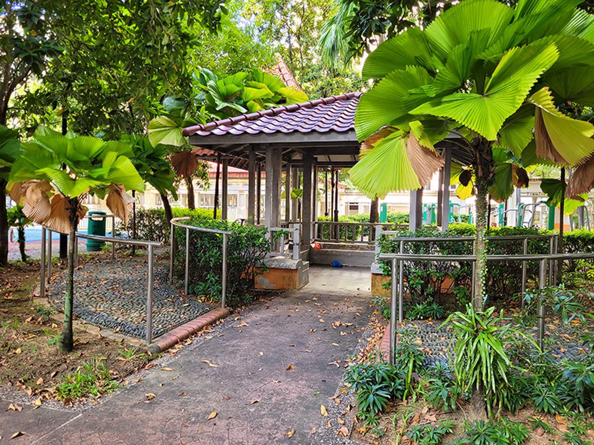 Main camera, no zoom.