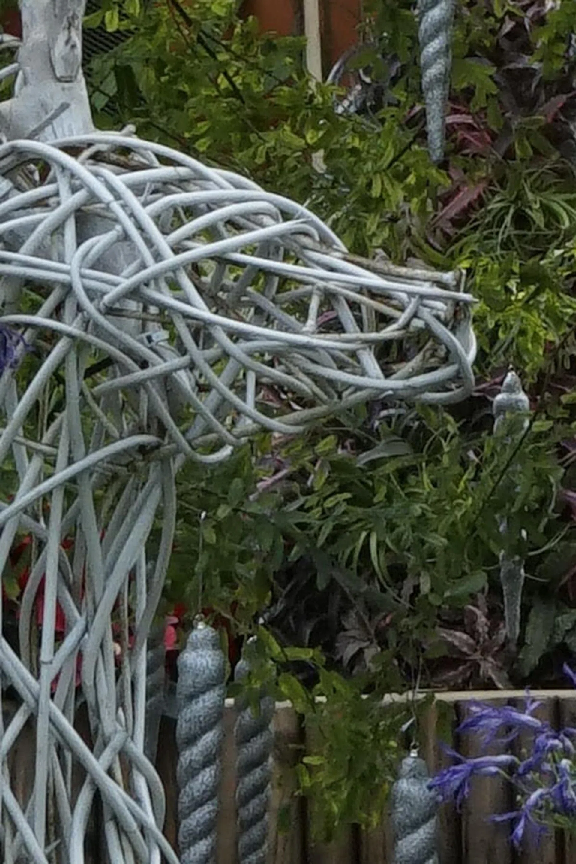 Compressed 100% crop.