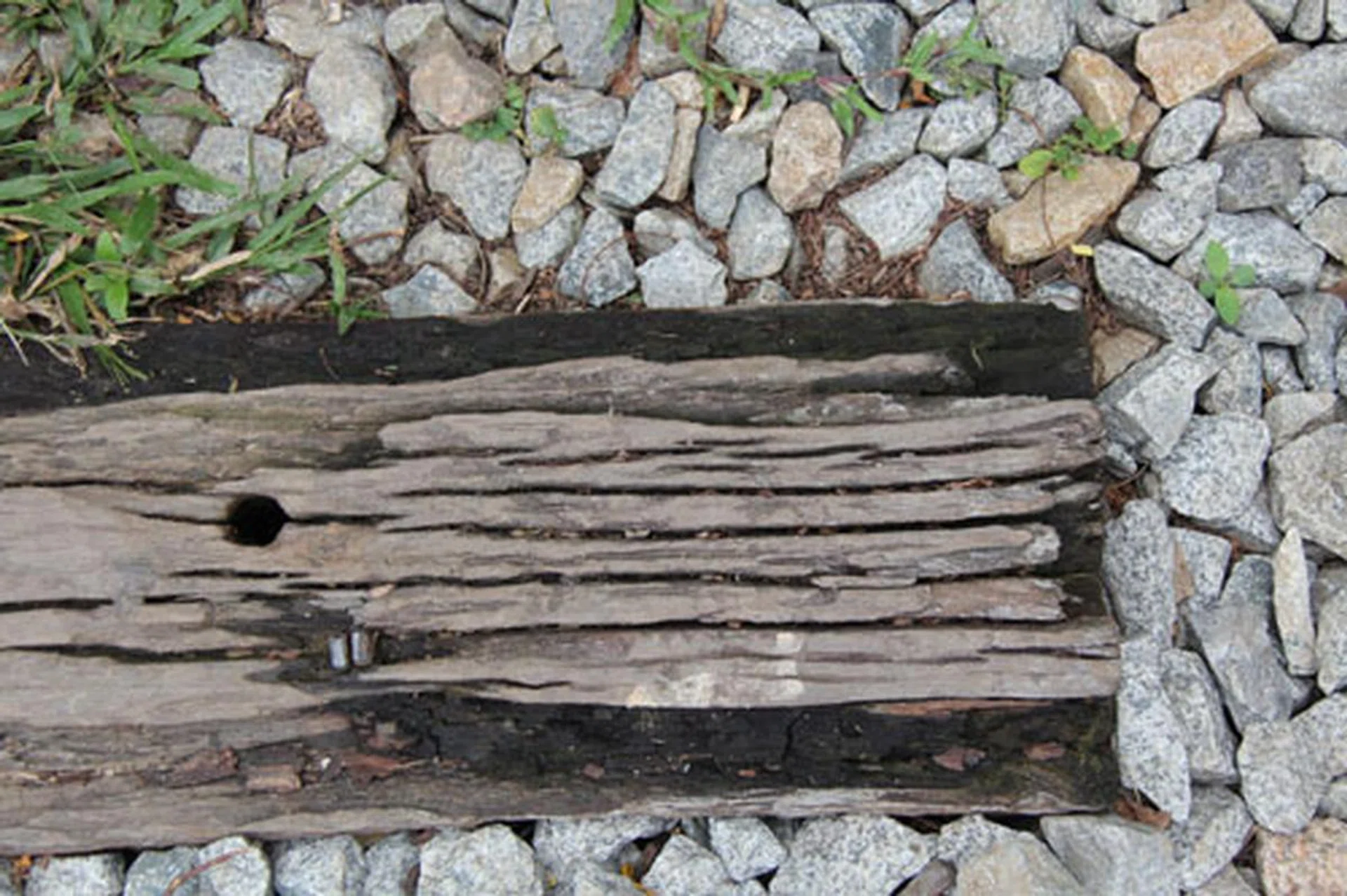 f/5.6, 64mm, 1/200 sec, ISO100.