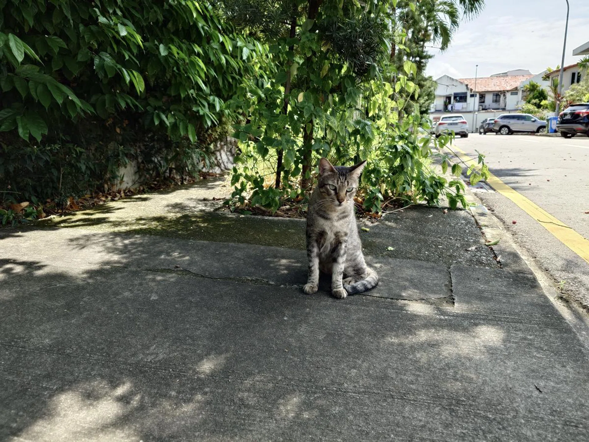 Main camera. Photo: HWZ.