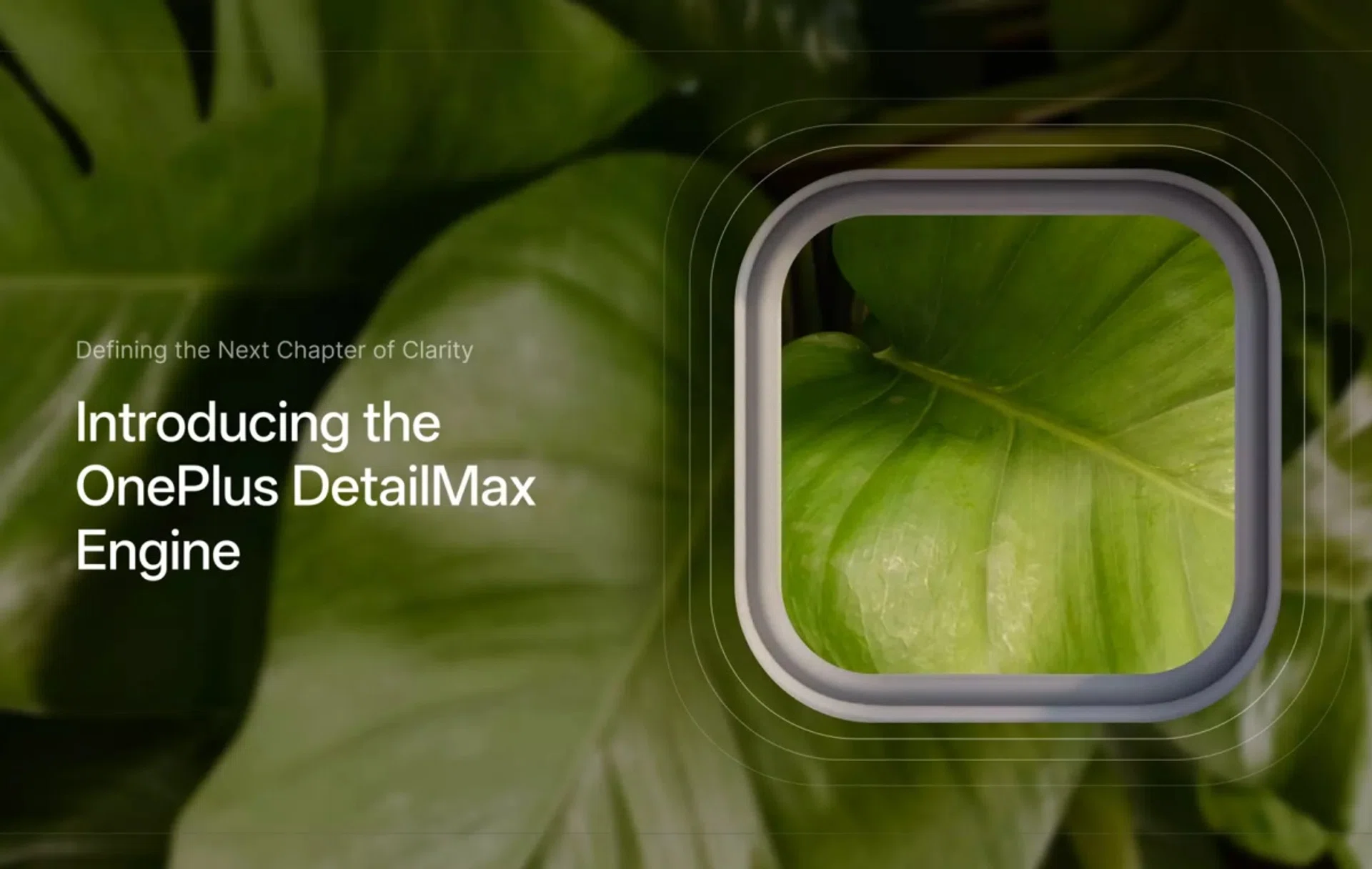 OnePlus’ own imaging engine, the DetailMax. 