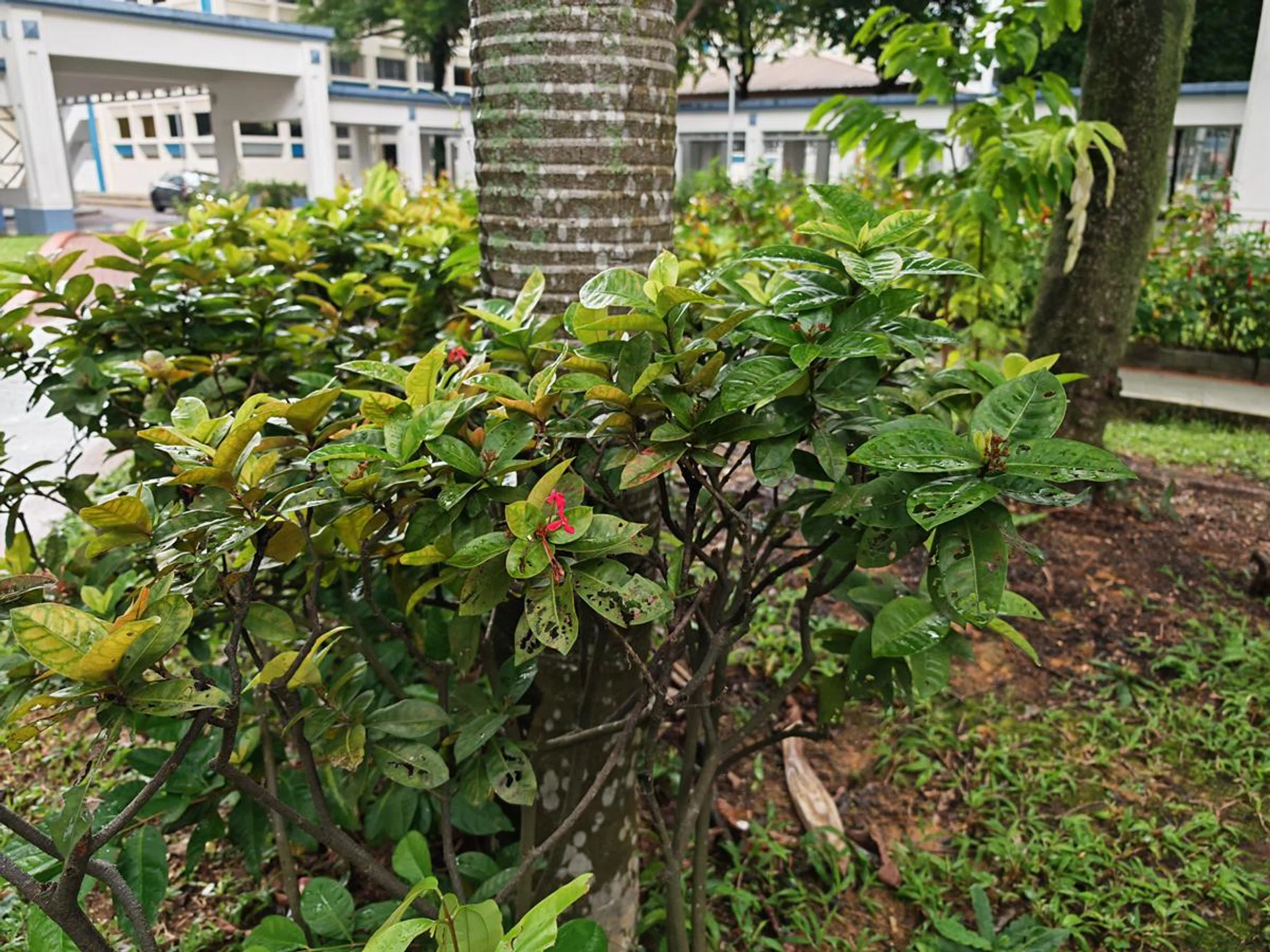 Main camera. Photo: HWZ.