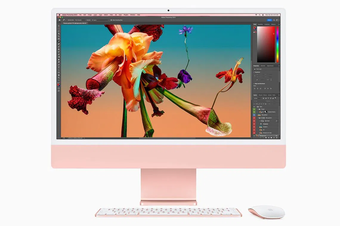 iMac美品/BigSur/Leoprd/Office/AdobeCS2 iMac美品/BigSur/SnowLeoprd/Office/AdobeCS2 【公式通販】