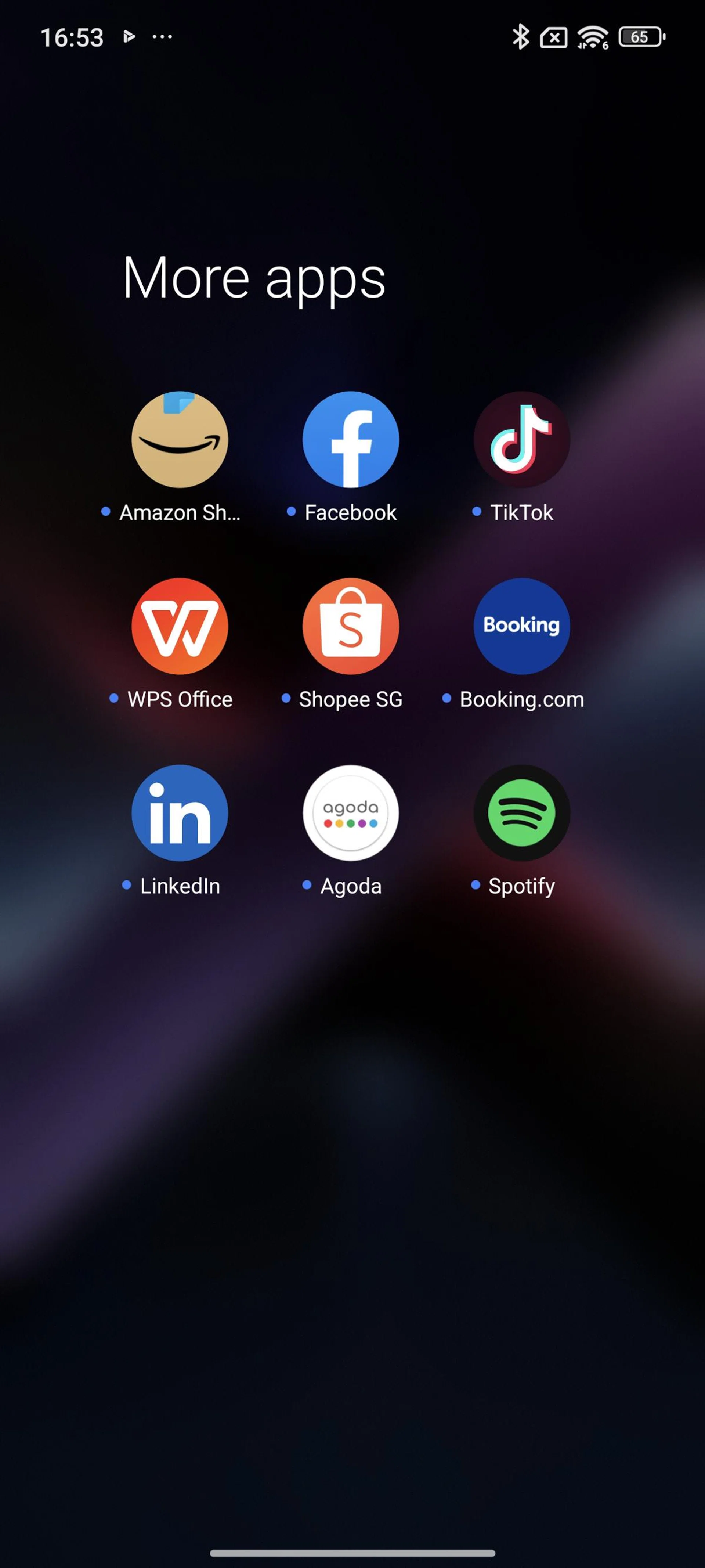 Bloatware, although some could be useful. Photo: HWZ.