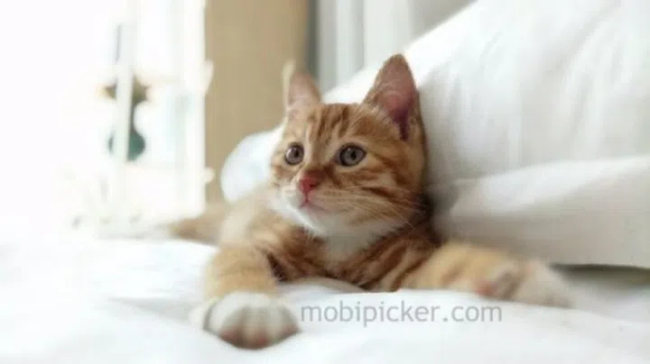 Image source: mobipicker.com