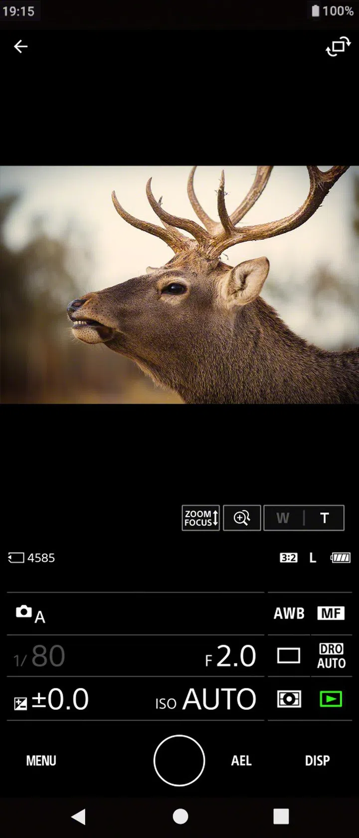 Remote capture from through the app on supported Sony cameras.