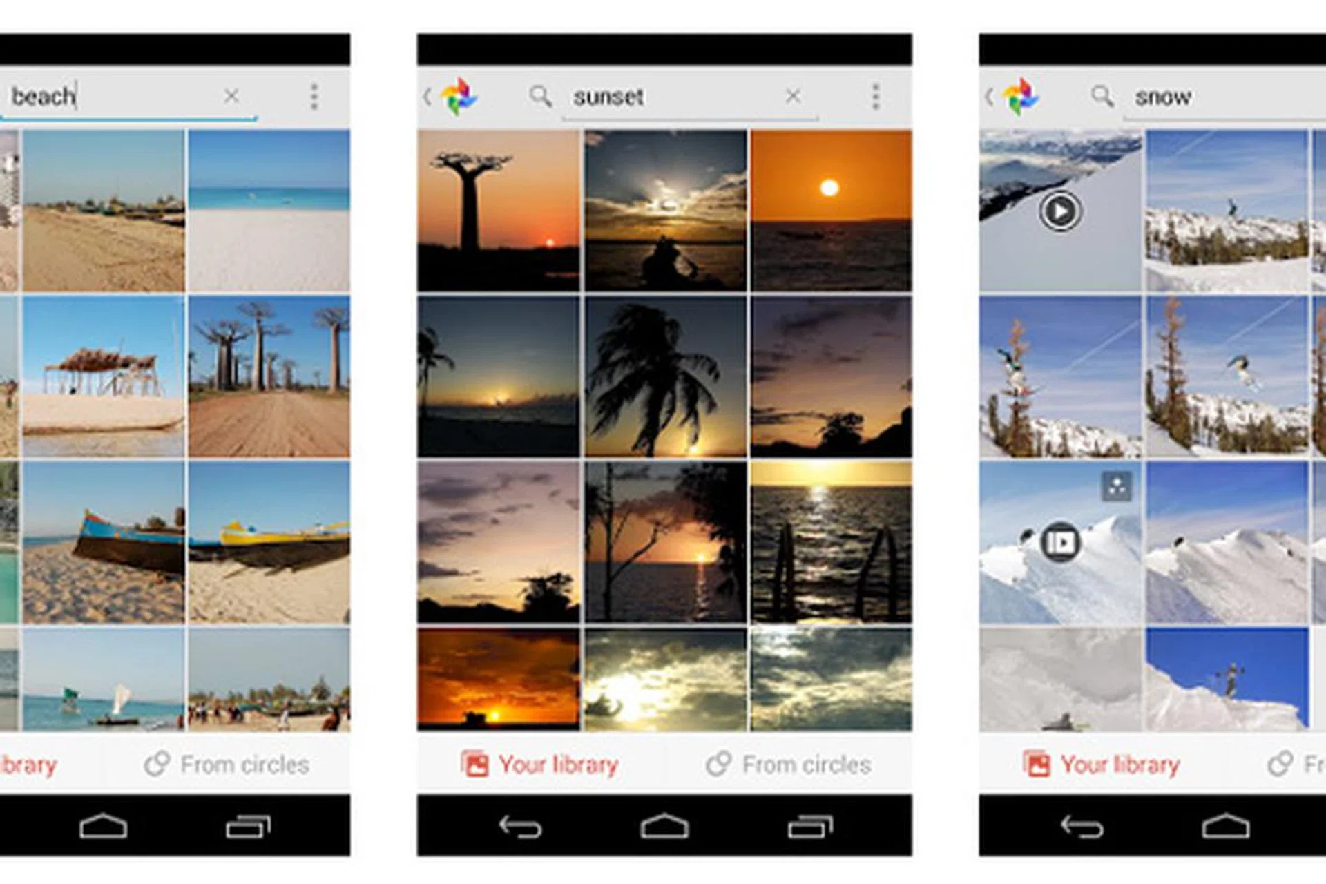 Google+ can recognize over a thousand objects in images, so you can now type to search your pictures. Image source: Google.