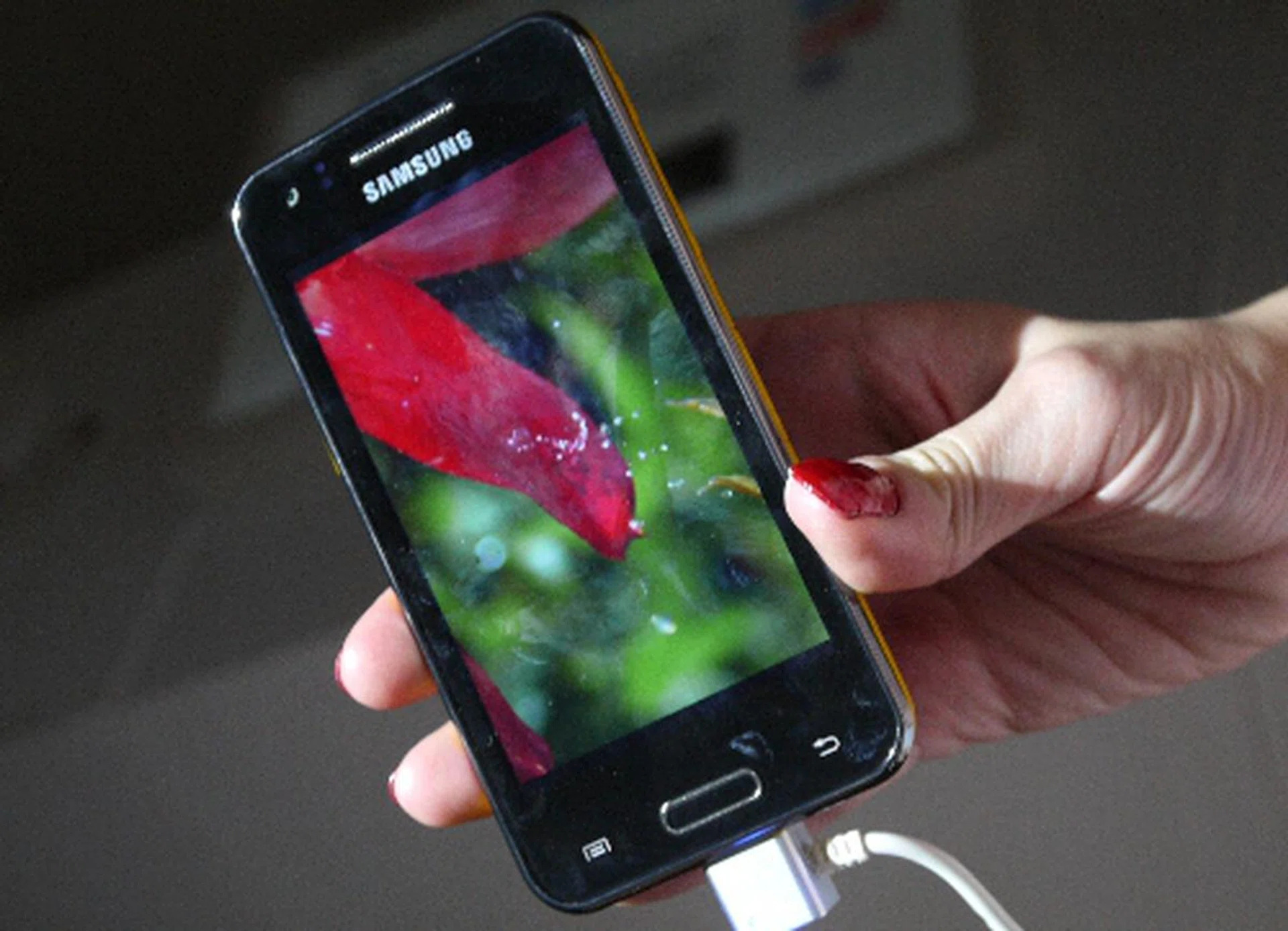 Don't expect the Galaxy Beam to trounce the Nexus or the upcoming S3 since Samsung is targeting the average consumer rather than the Android enthusiast with this smartphone fitted with a projector.