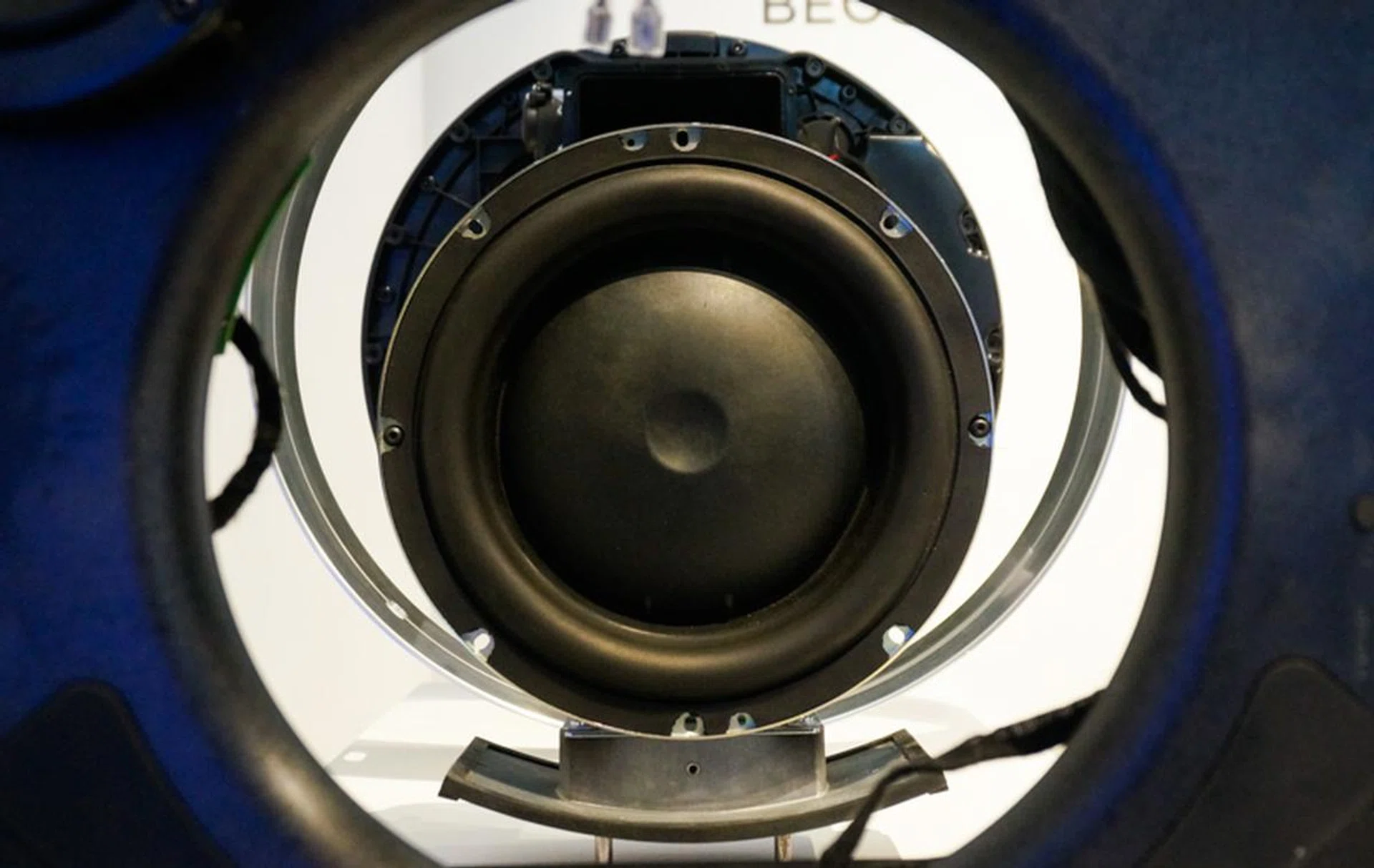 The main 10-inch woofer bass driver.