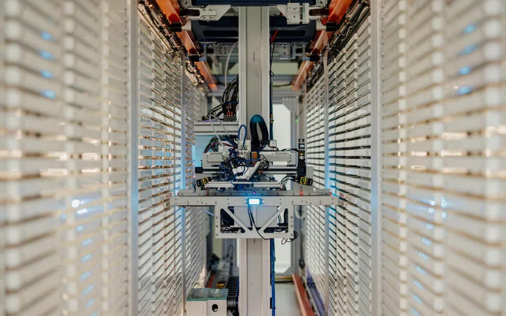 Google Debug Wolbachia mosquito suppression technology upgrade
