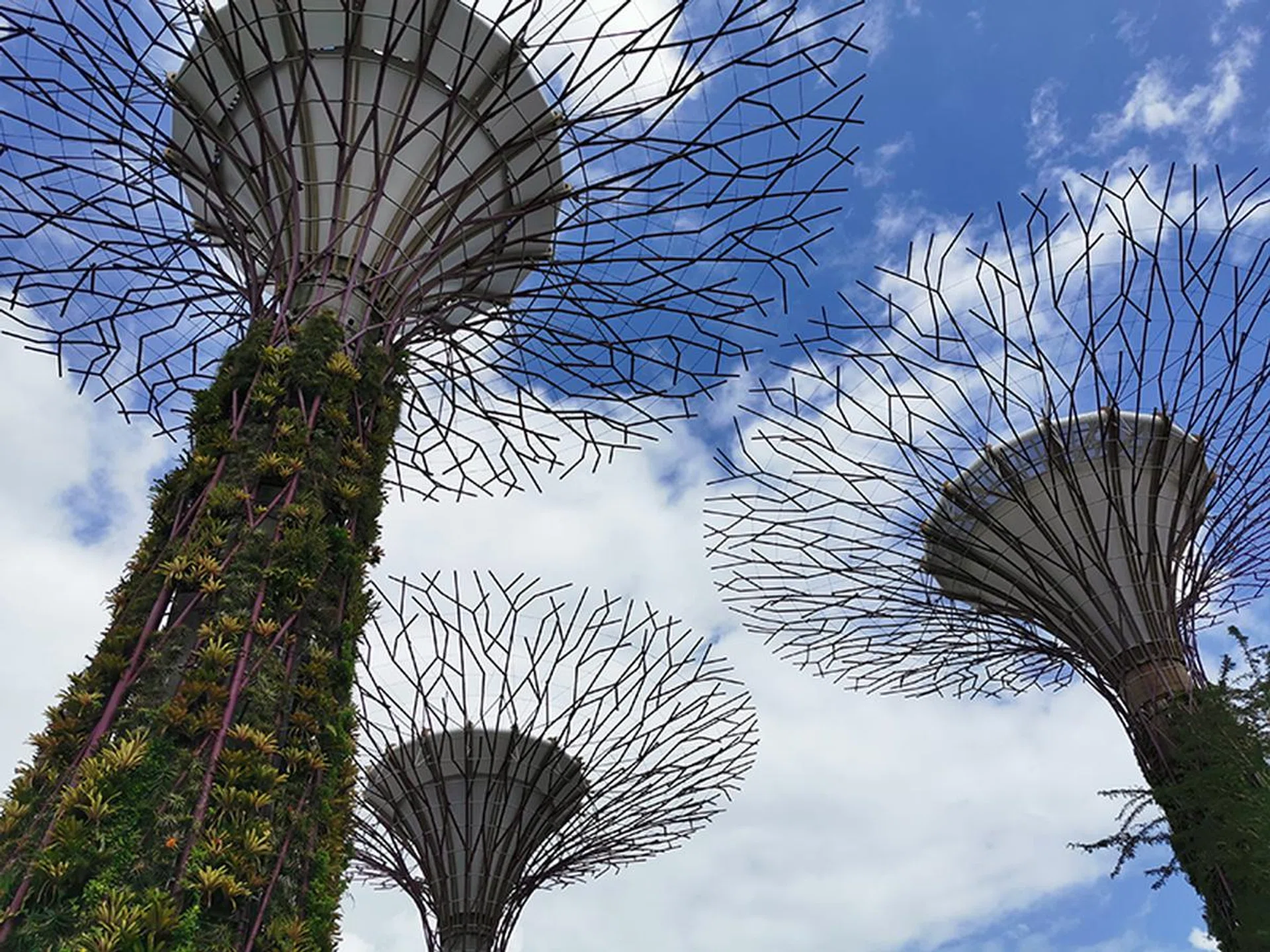 P30 Pro. (Click to view full-size image)