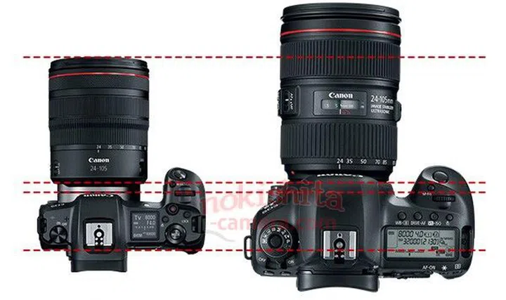 The EOS R compared to what looks to be a 5D.