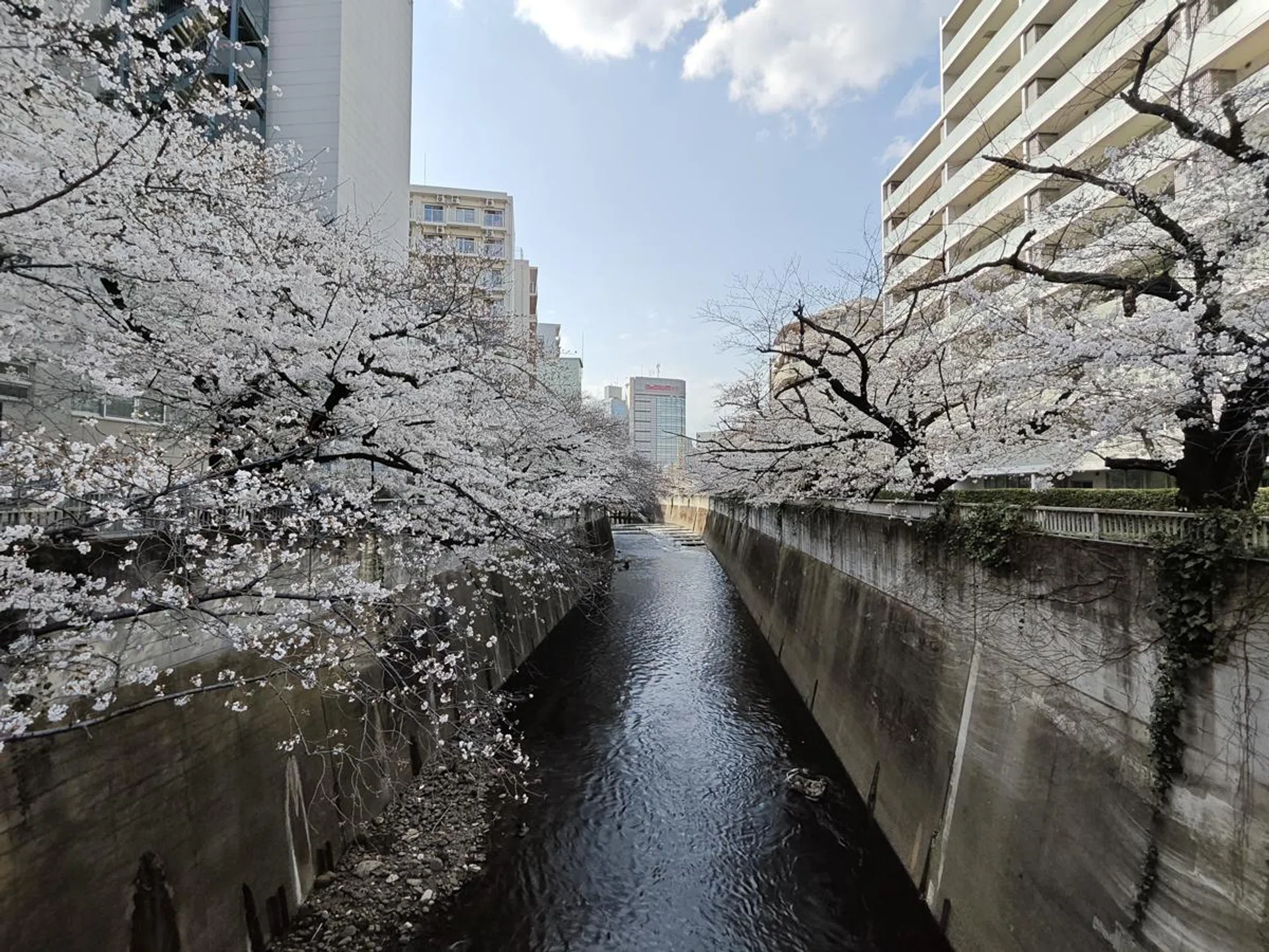 Ultrawide. Photo: HWZ.