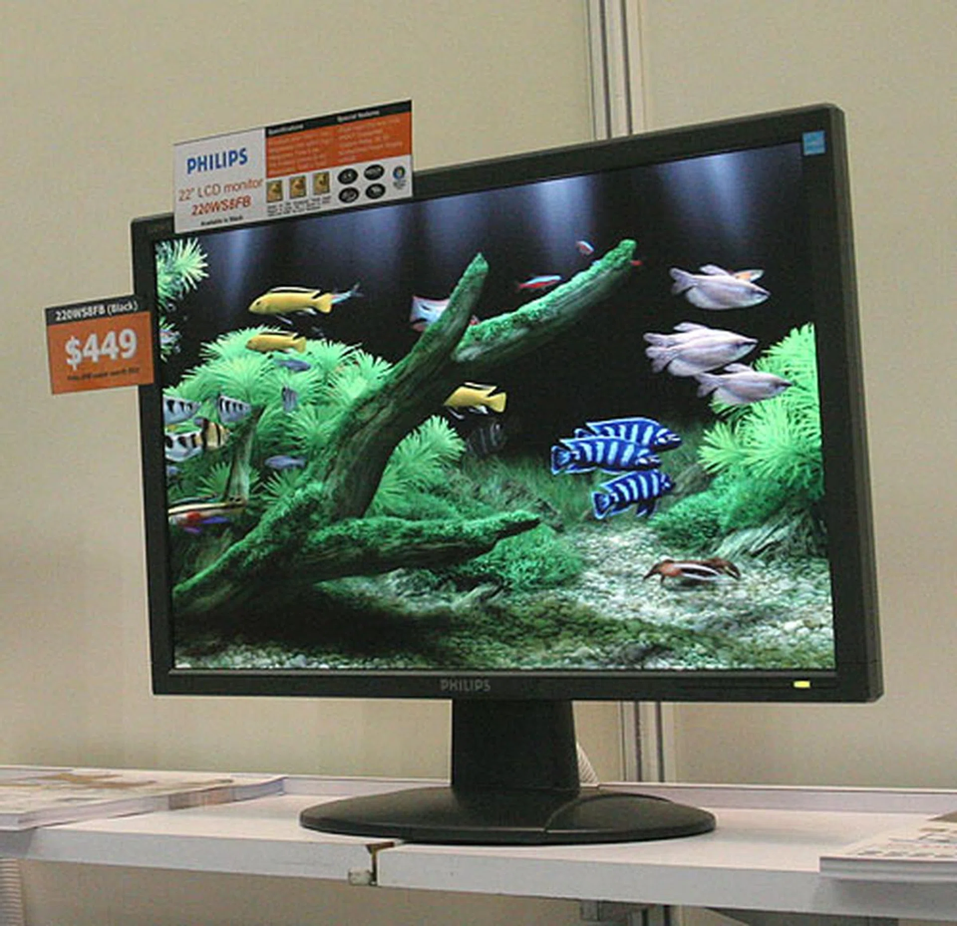  Every LCD vendor has their 22-inch widescreen LCD and for Philips, it's this 220WS8FB, which has a contrast ratio of 1000:1, supports both DVI-D and VGA, and has 16.7 million colors. It is also HDCP compatible. For these specifications, expect to pay $449 and it's available only in black.  