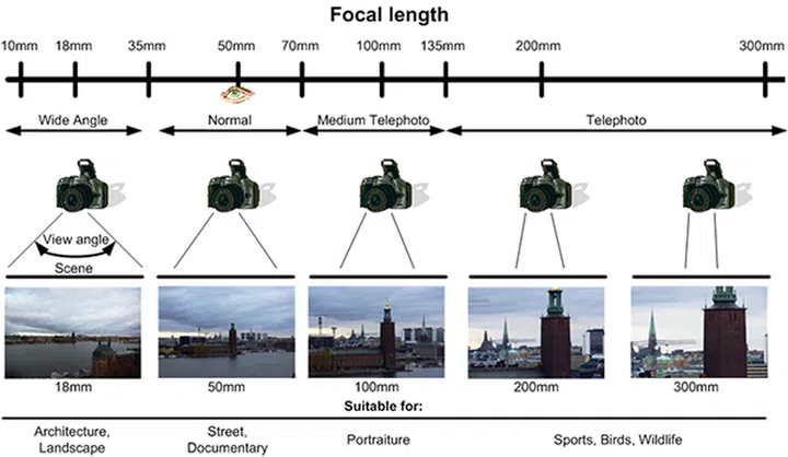 This graph handily illustrates the different effects of various focal lengths.