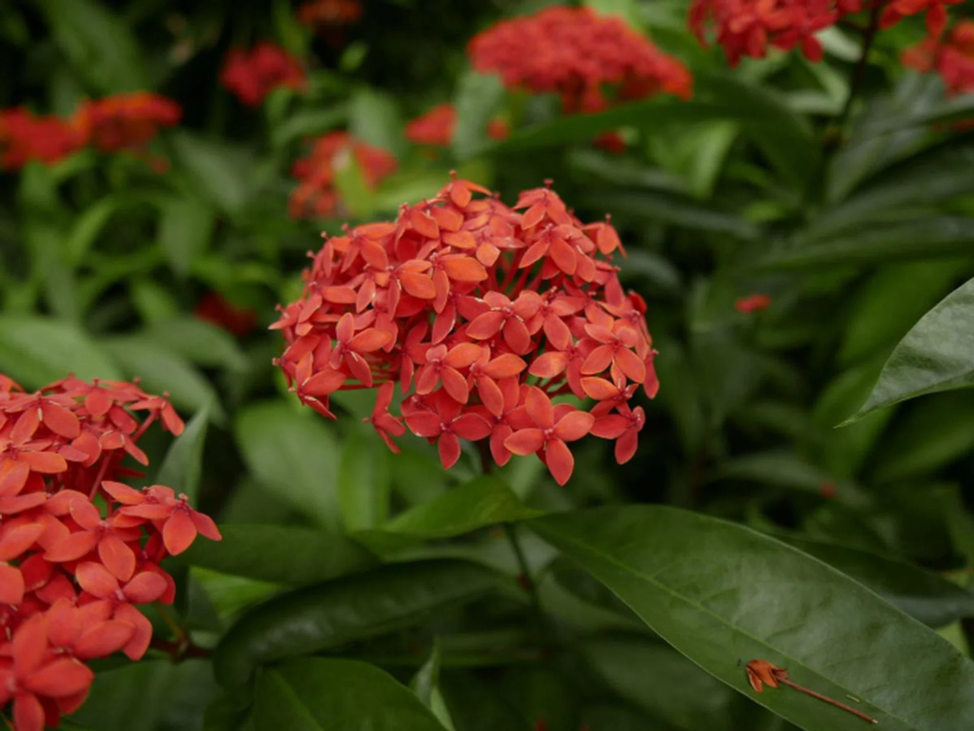 f/1.7 at 24mm, 1/3200 sec, ISO400