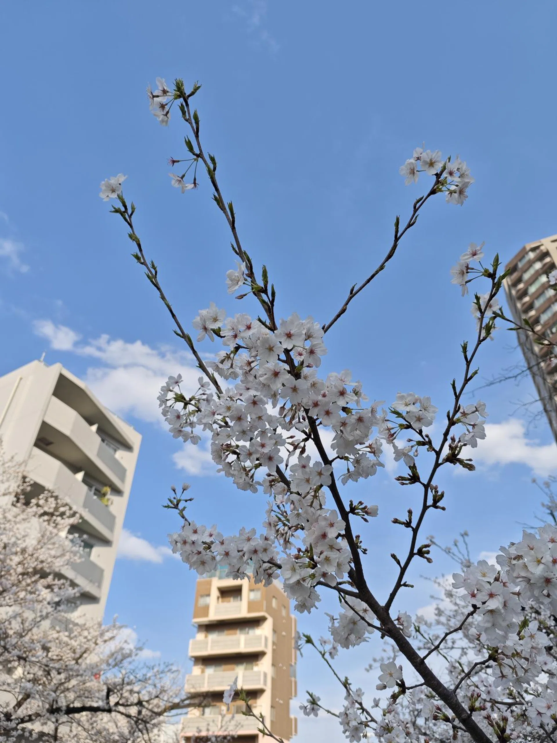 Main camera. Photo: HWZ.