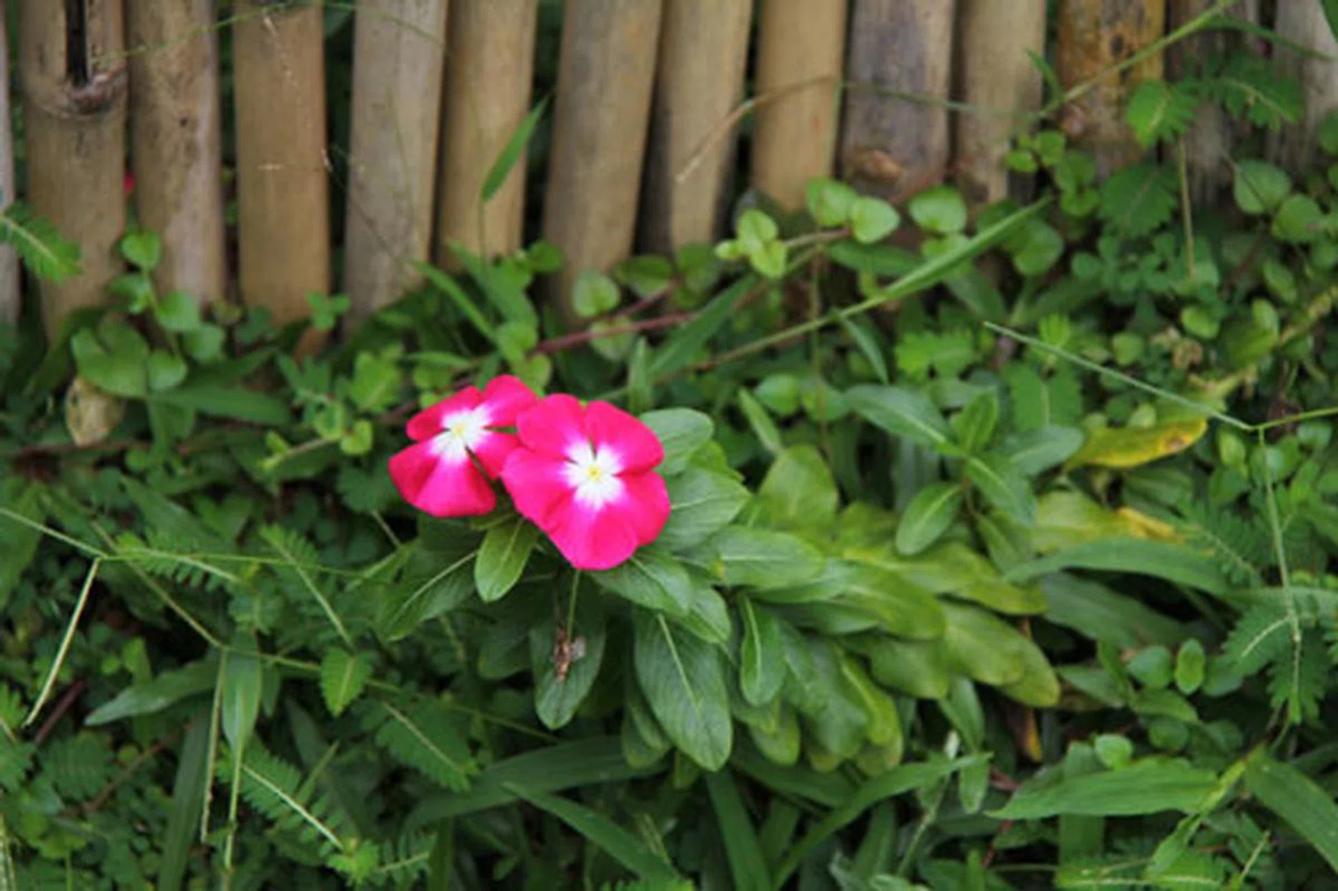 f/5.6, 272mm, 1/320 sec, ISO160.