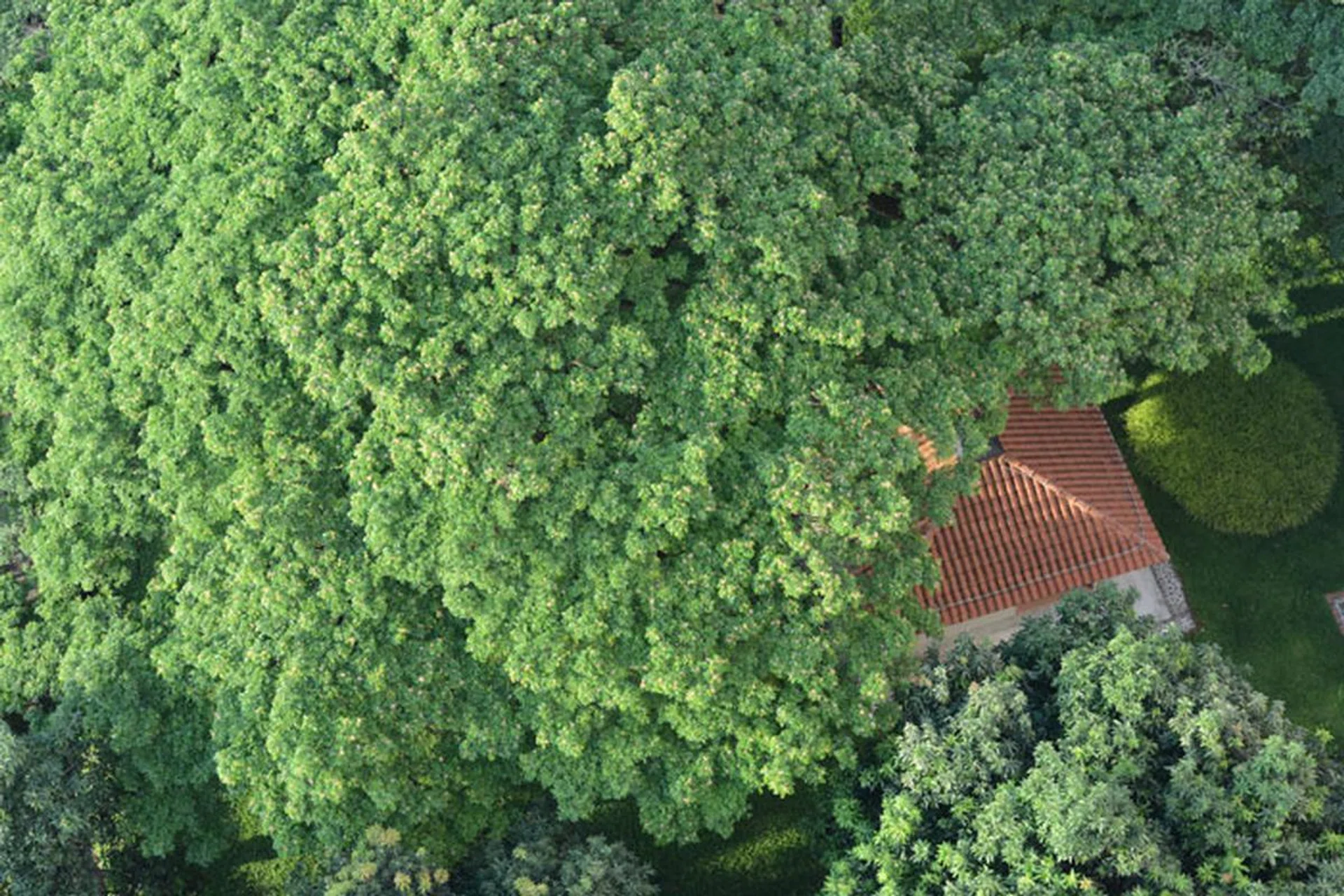 Here is the full scene, to give you an idea of what we're looking at.
