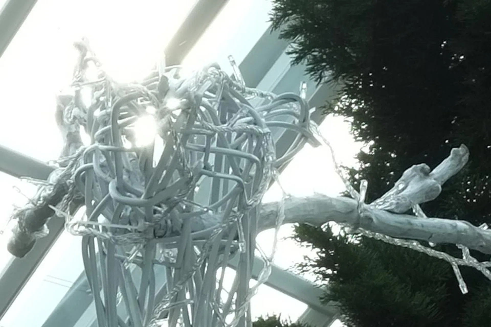 100% crop, no evidence of purple fringing when we shot backlit with the same 18-55mm kit lens. f/4 at 76mm (35mm equivalent), 1/85 sec, ISO 200.