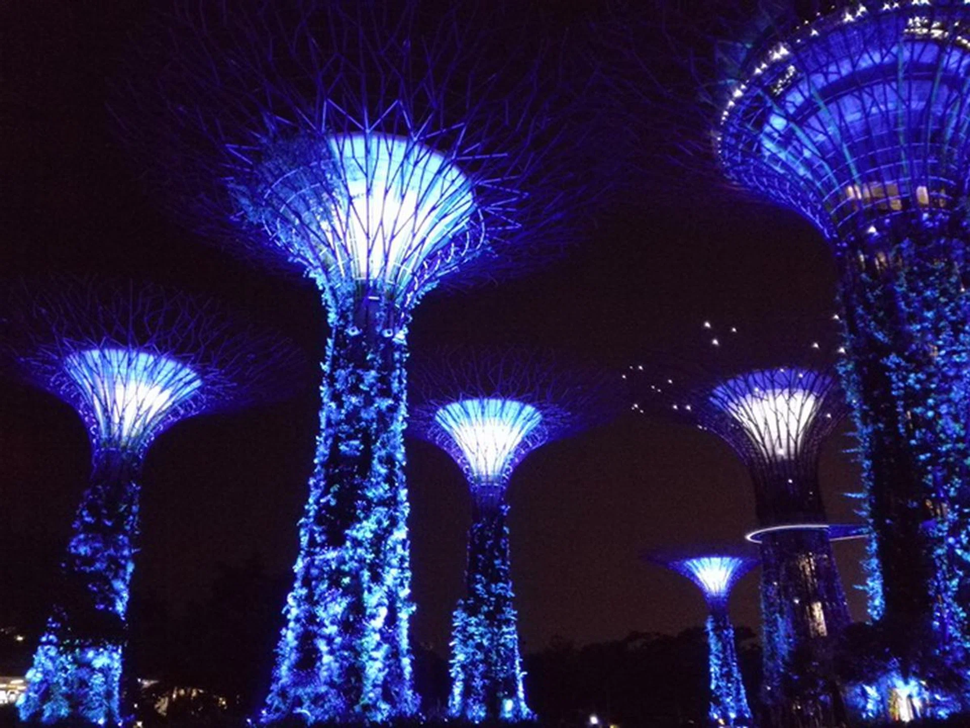 Image quality takes a hit in low light conditions; details are murky when zoomed in and noise is apparent. They are decent for sharing on social media, but do not expect anything beyond that.