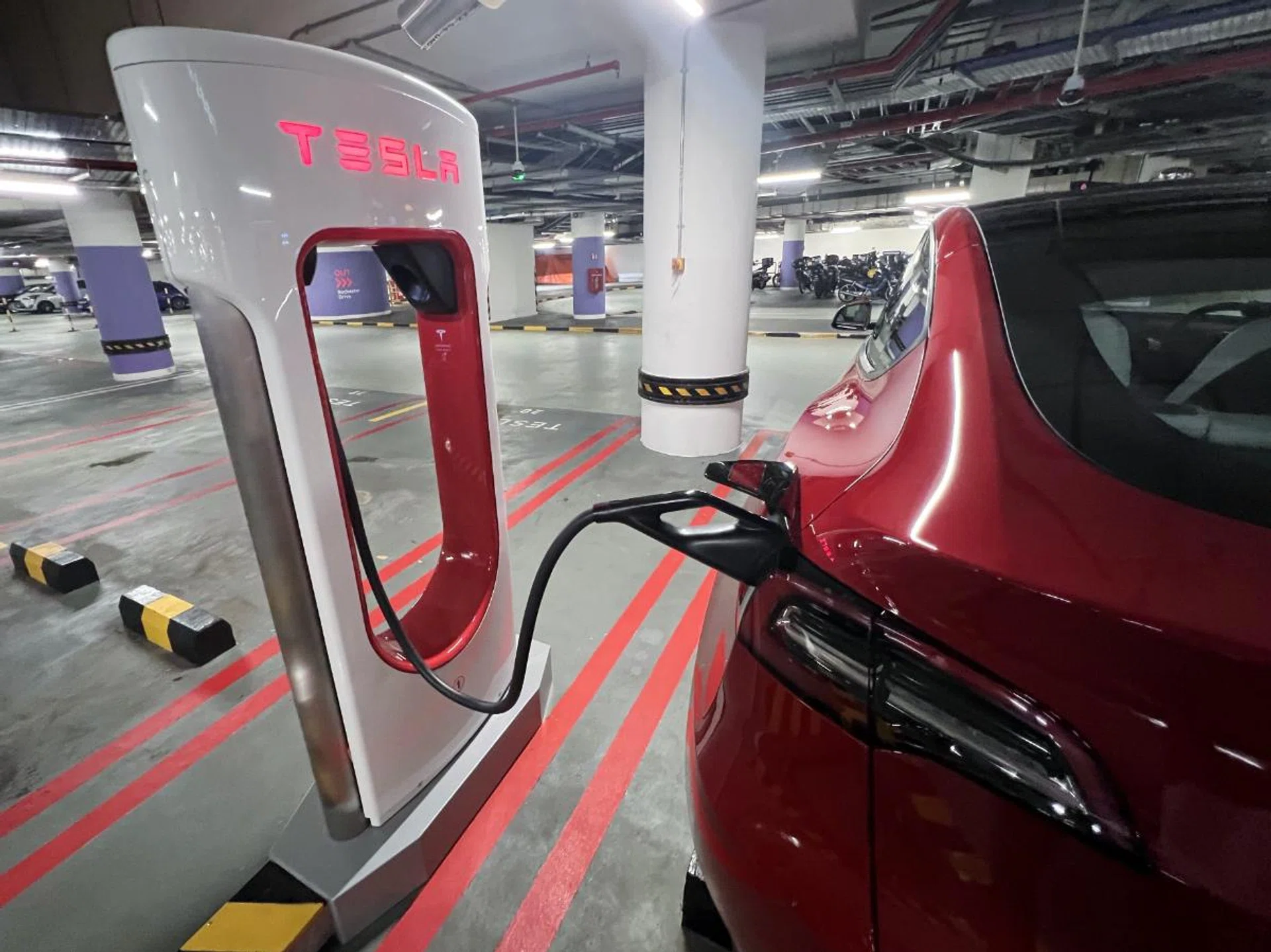 There were no other Teslas here. 