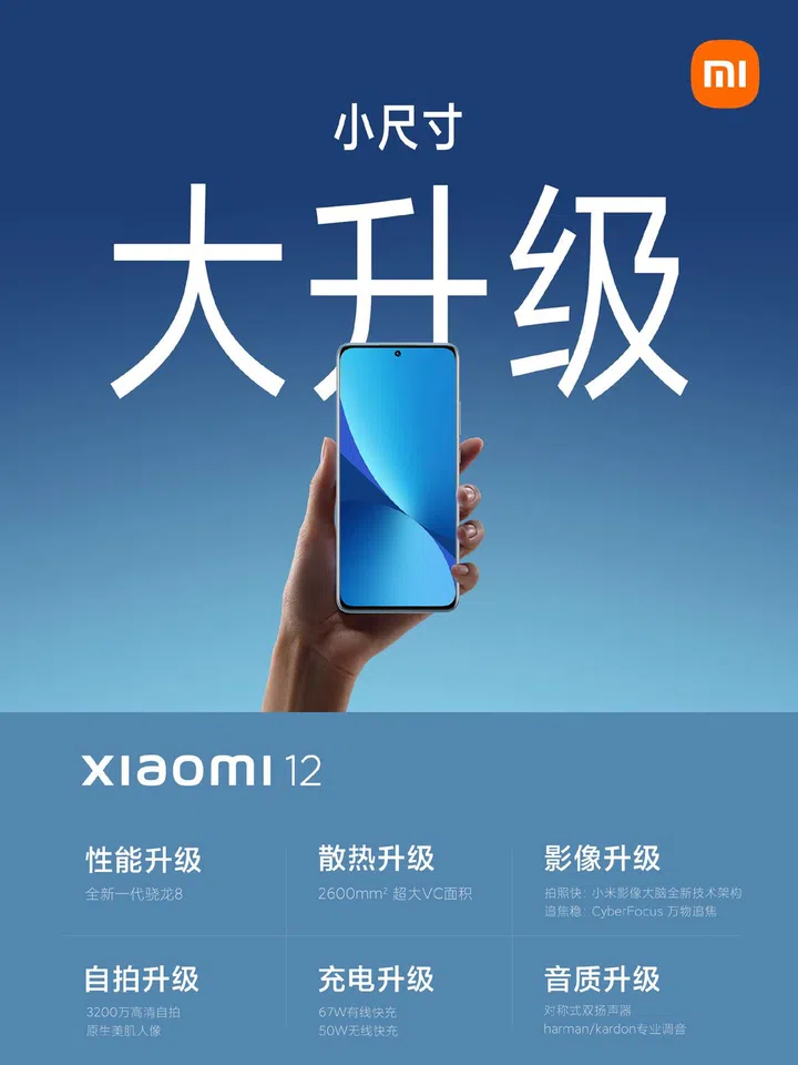 Xiaomi 12.
