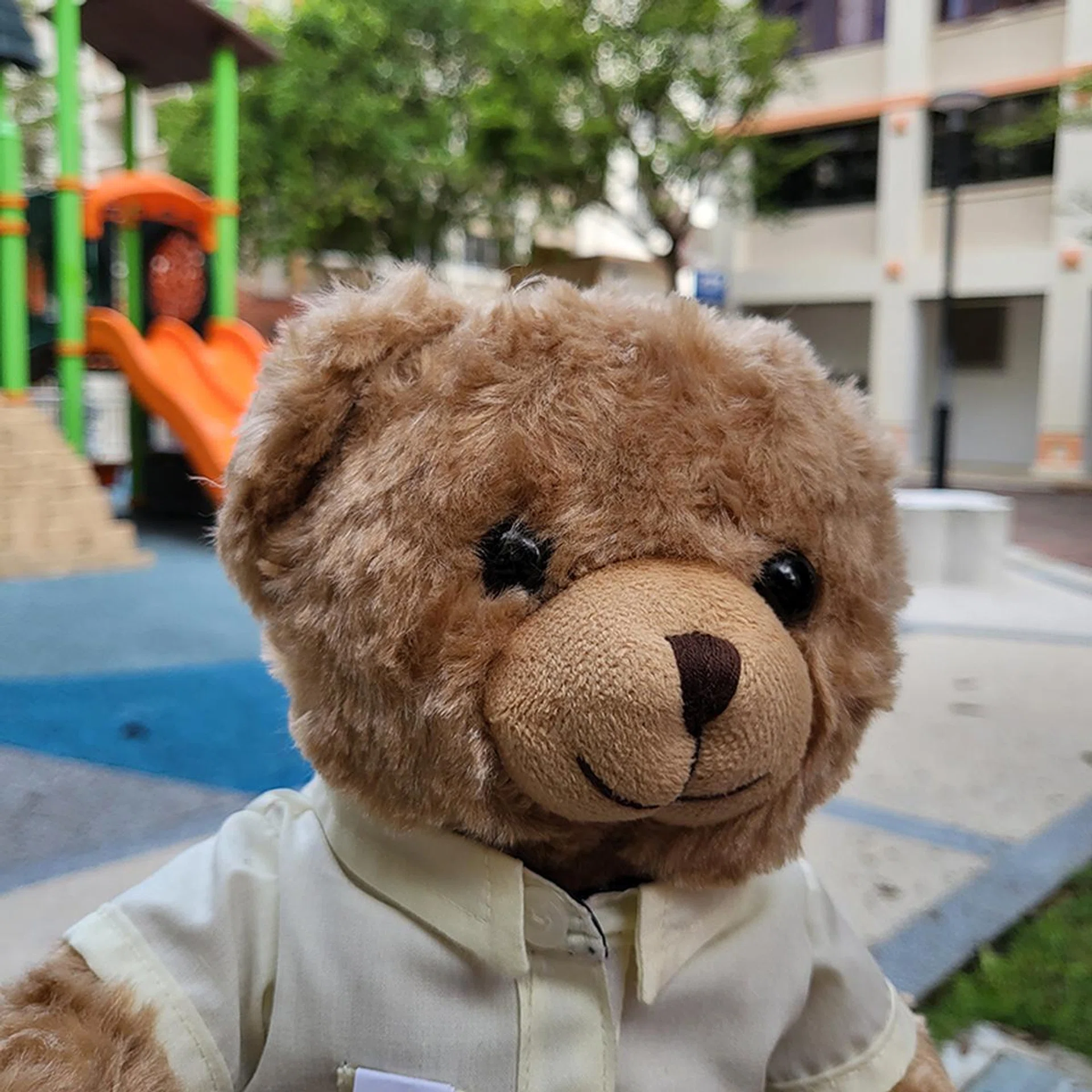 Selfie taken via Cover Screen preview.