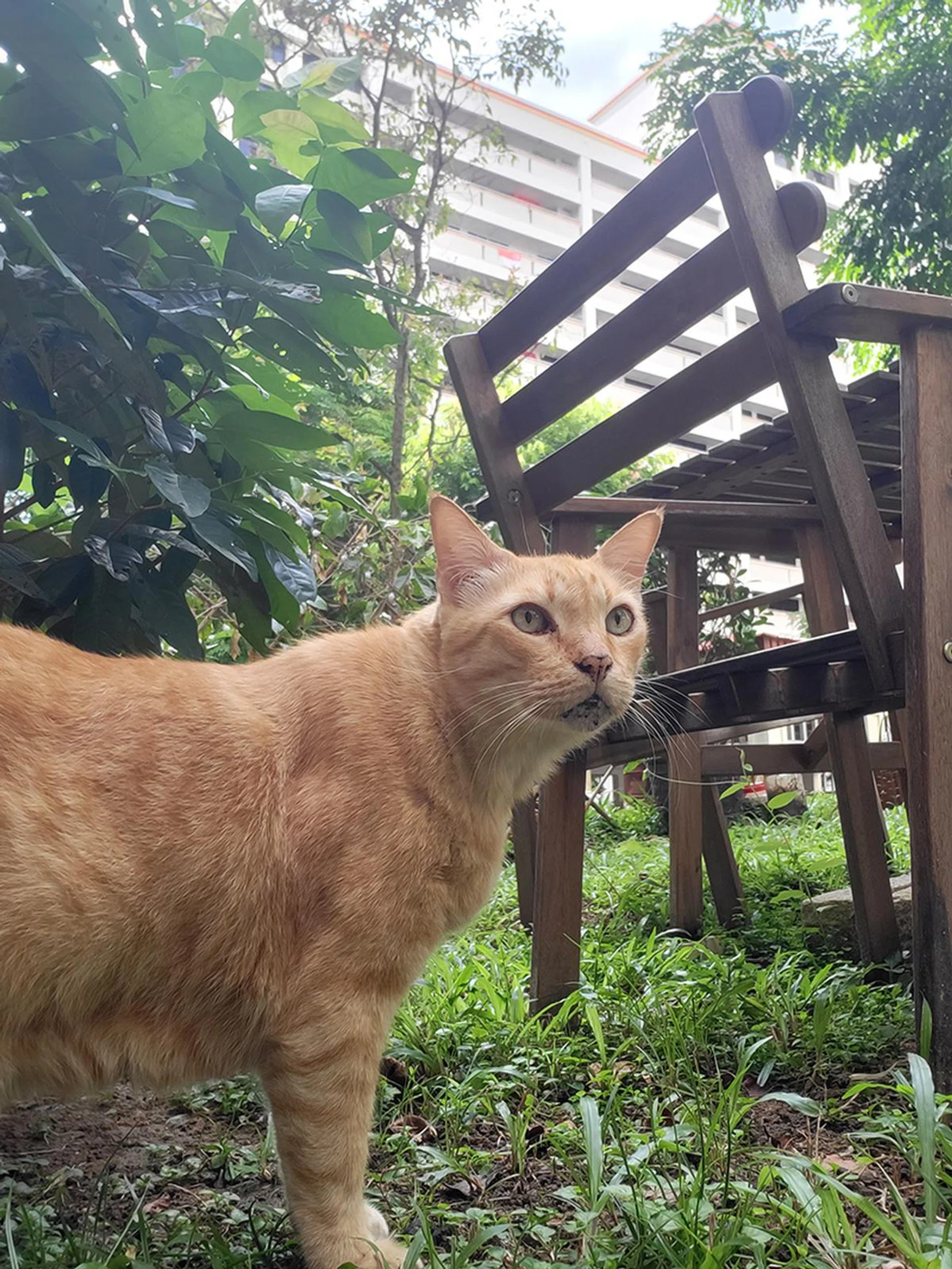 Selfie via Main Screen preview.