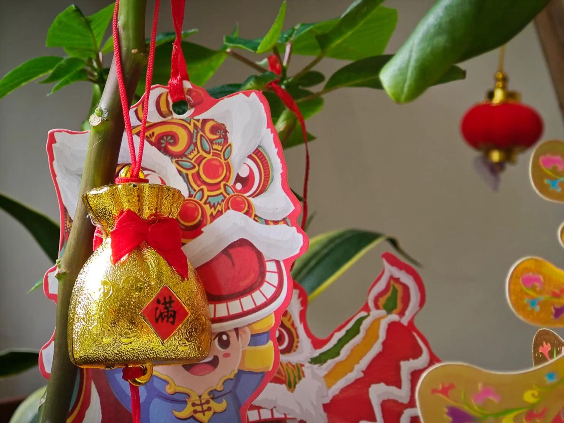 4x hybrid zoom. Photo: HWZ.