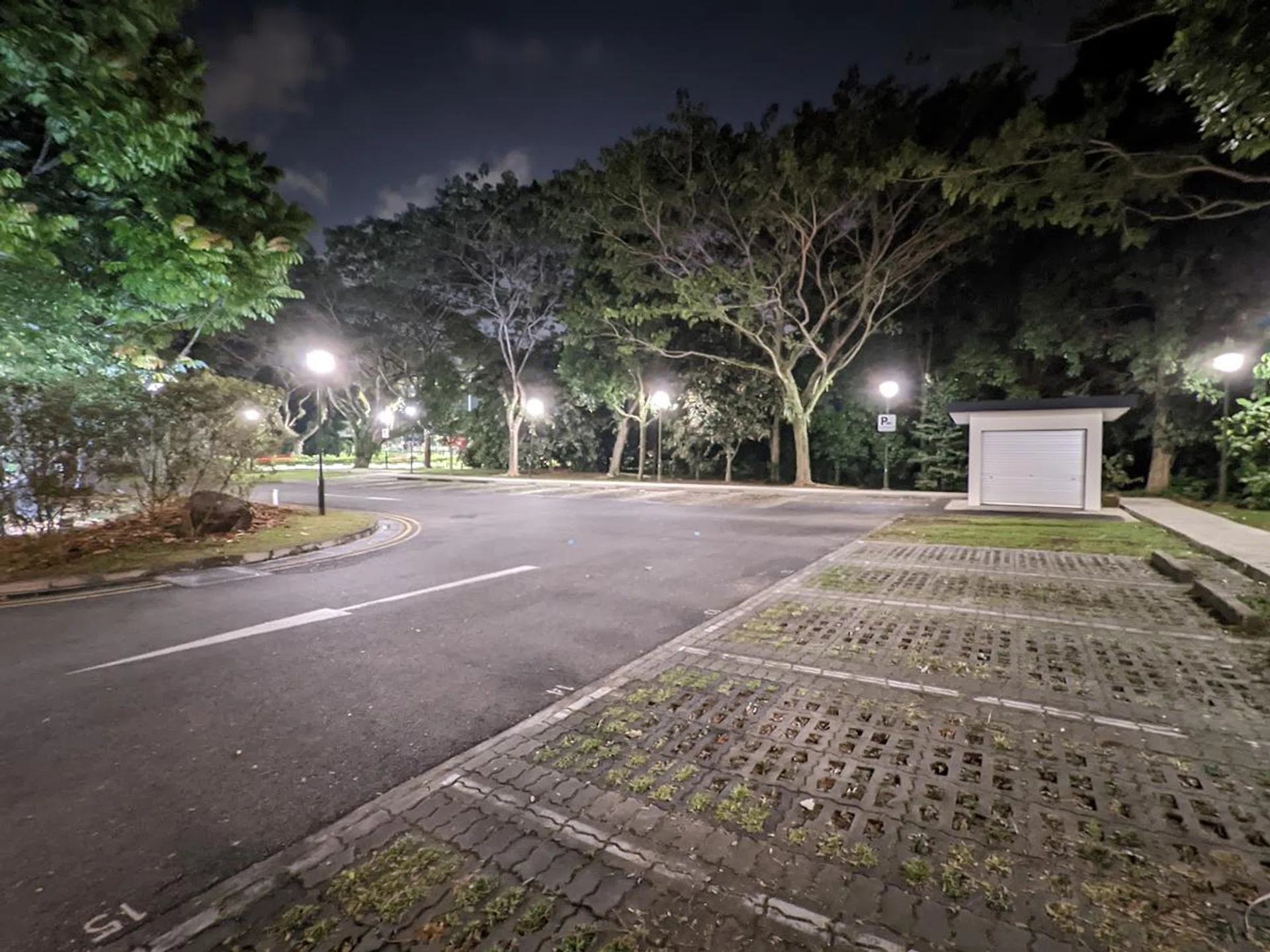 Night Sight on ultra-wide lens.