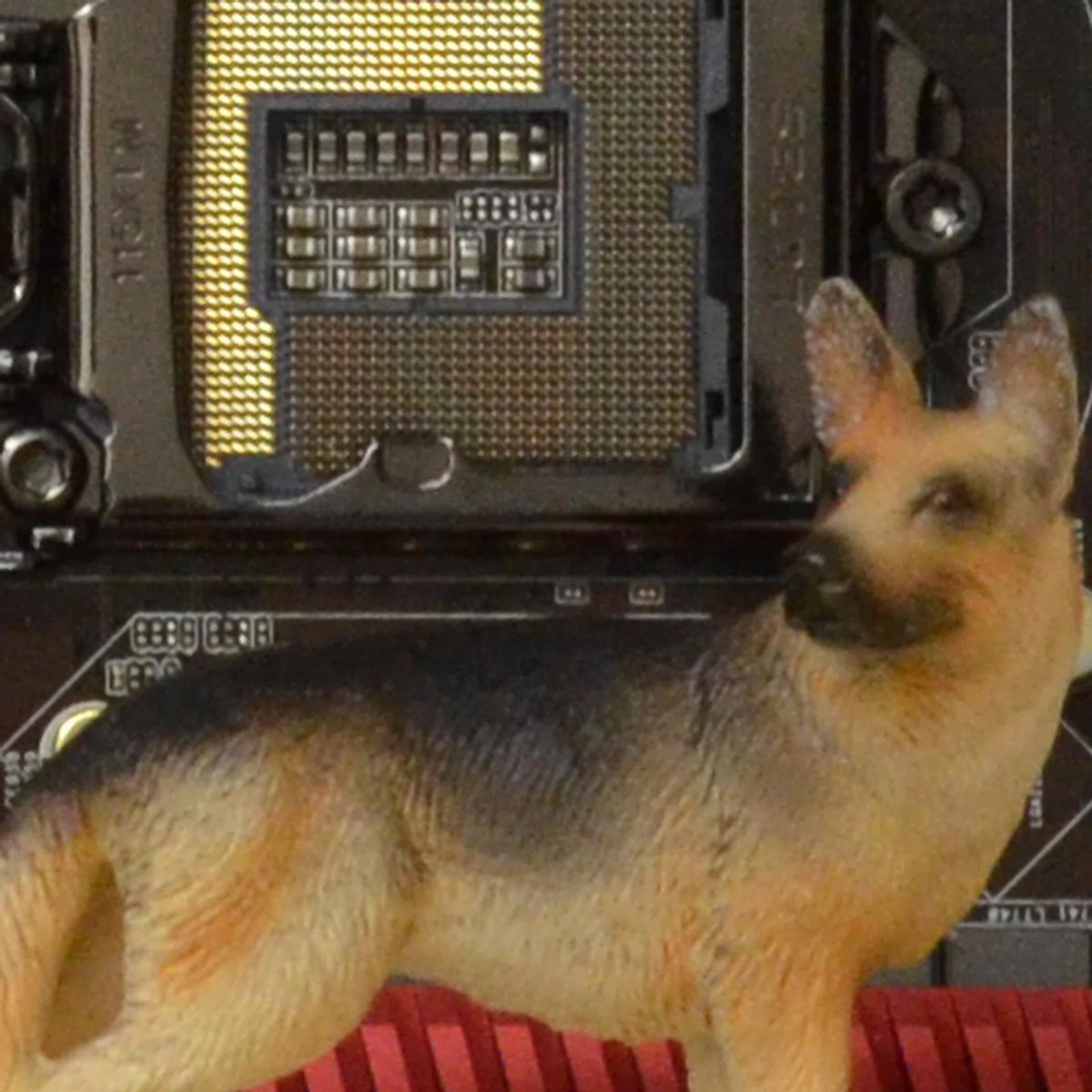 ISO1600. 100% crop of our test scene, click for the full resolution image.