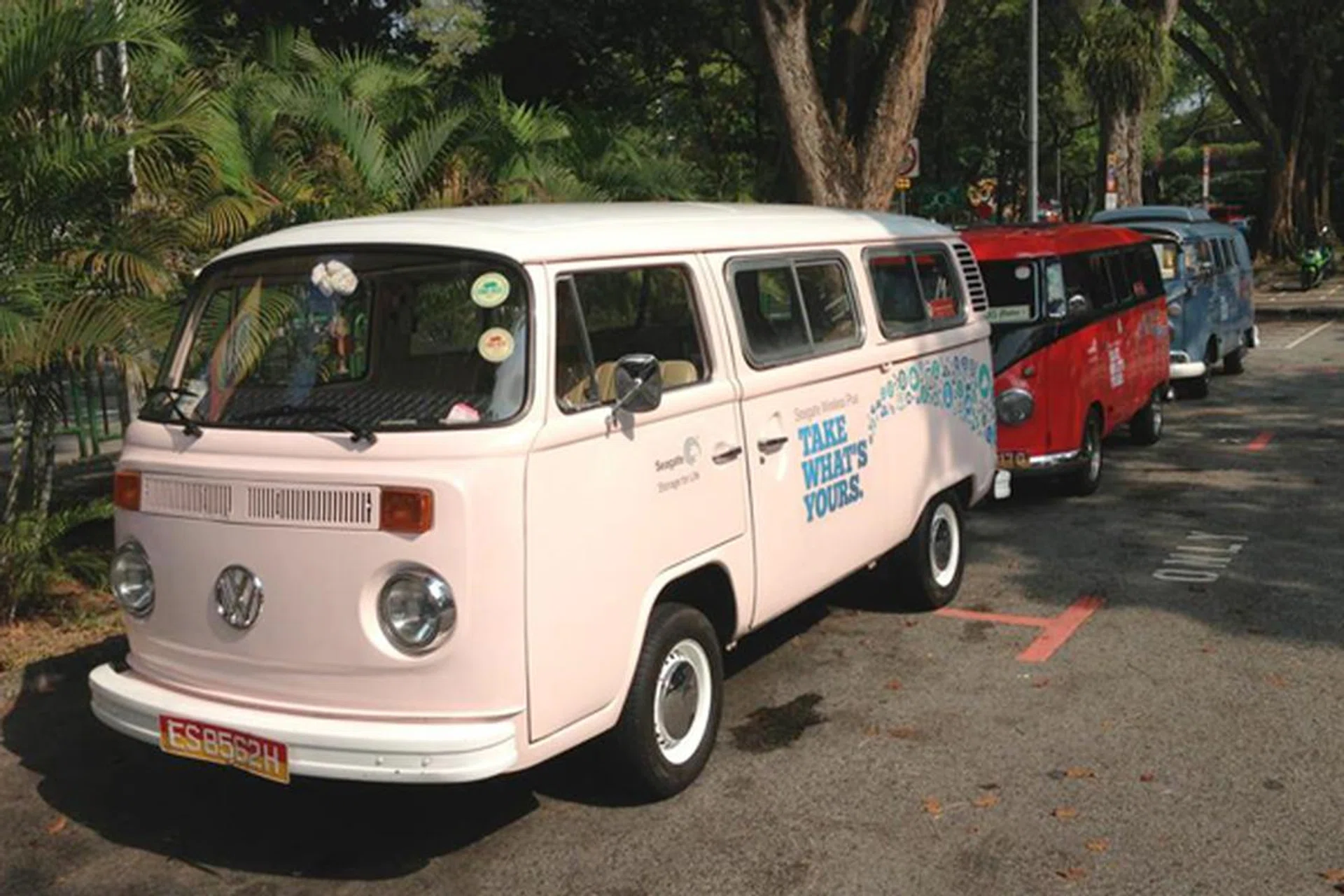 An unusual sight on our sunny island, brightly-colored Kombi vans awaited our members on a fine Saturday morning.