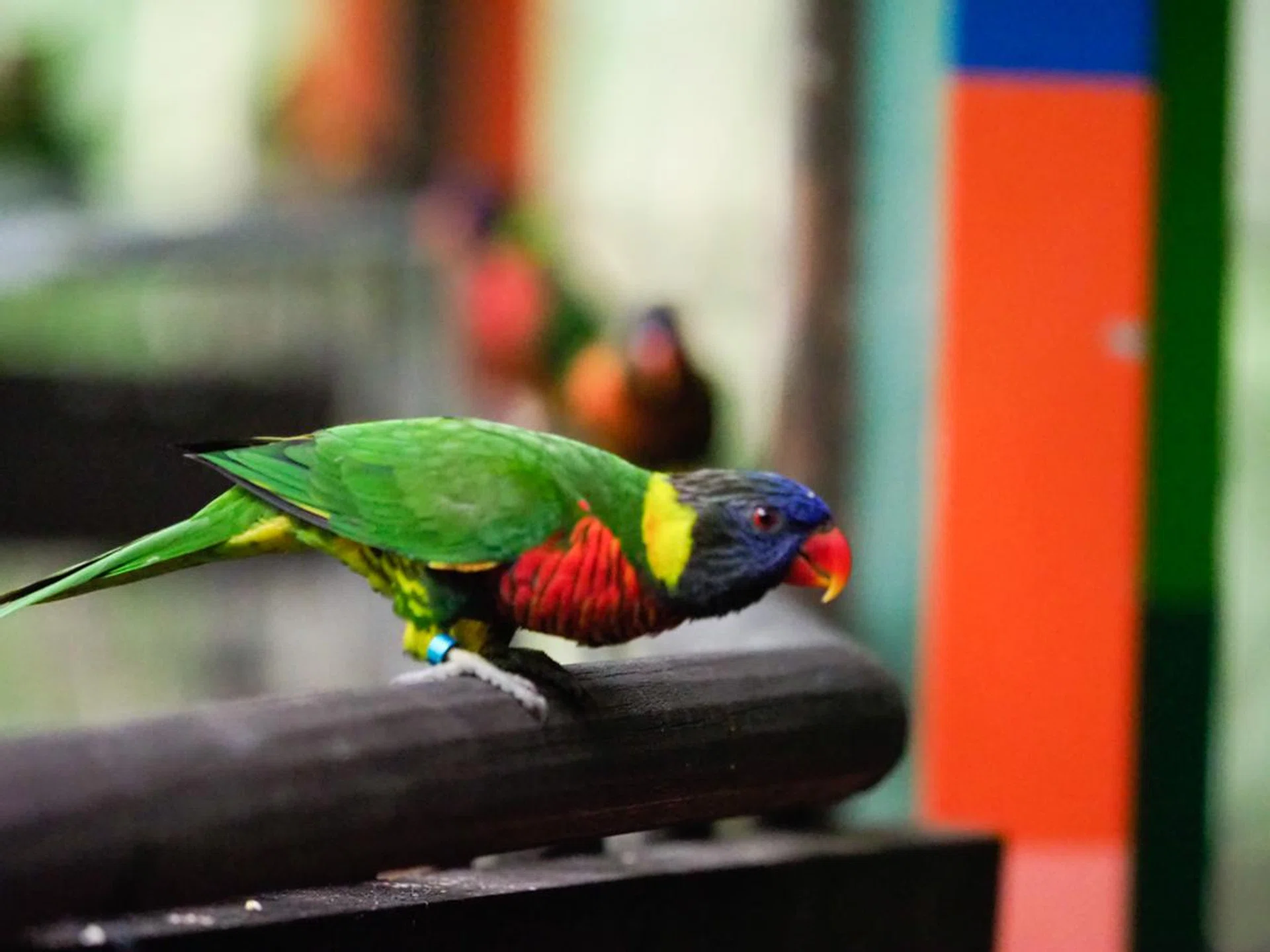 This is a relatively static shot, where the E-M1 Mark II failed to focus on an obvious target. It didn’t manage to lock onto the bird as it took flight in the entire 13 frame sequence.