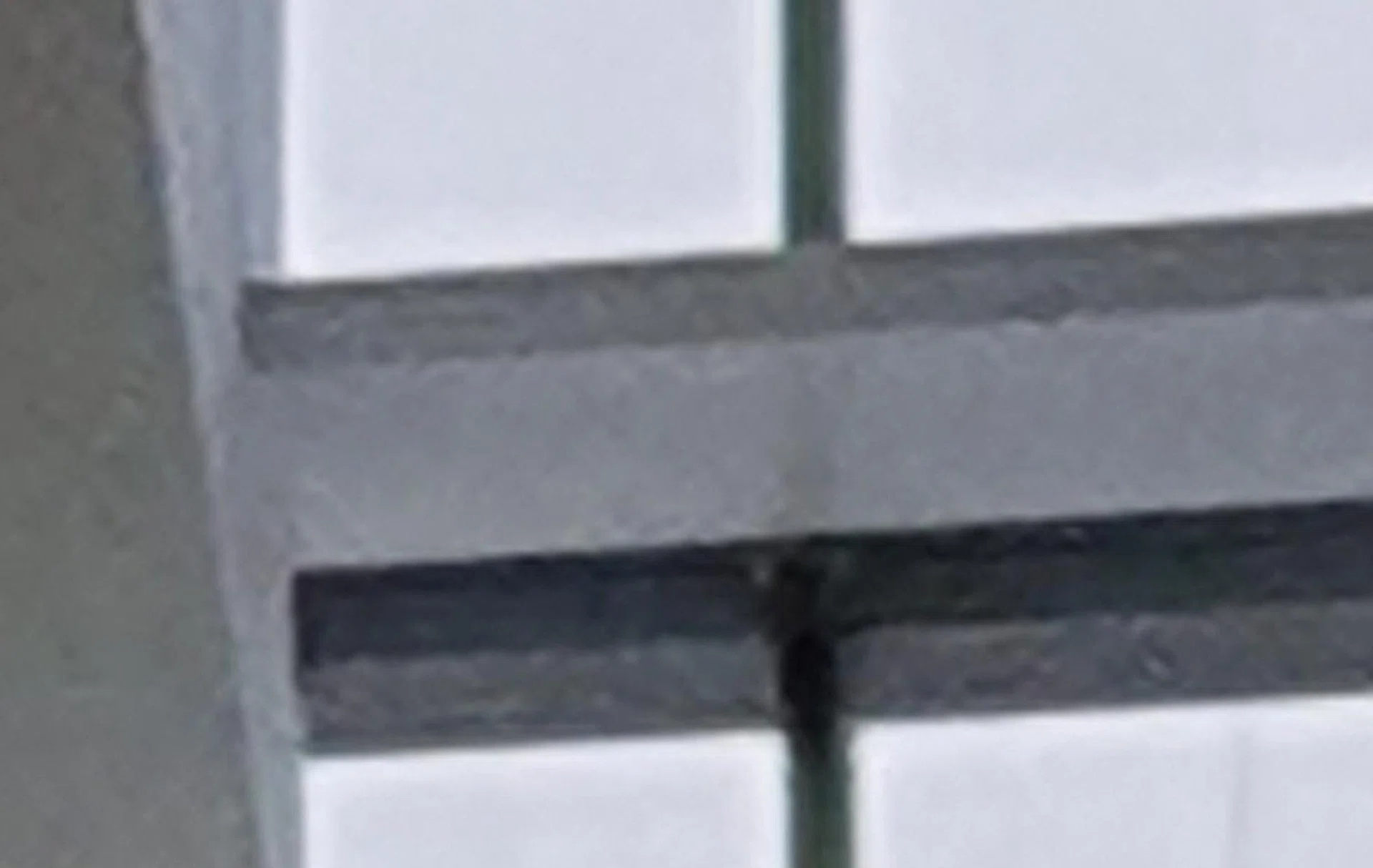 100% crop (Galaxy S10+)