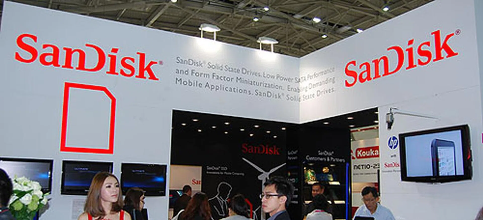 Flash memory products are the domain of SanDisk. 