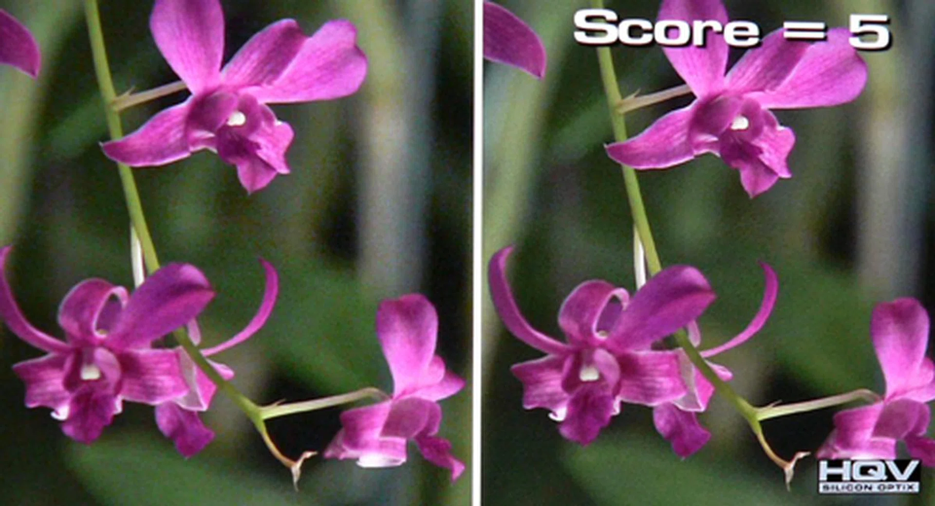HQV's HD Noise Reduction Test: If only Panasonic's noise filters were as effective as its  Real Black Drive system. Stubborn noise levels remained even with the filters pushed to the max.