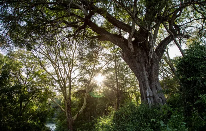 (Image source: Apple)