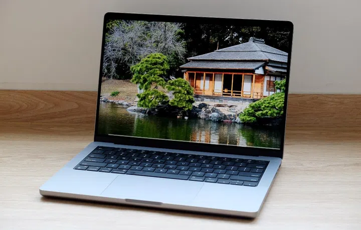 The 14 and 16-inch MacBook Pros currently have mini-LED displays.