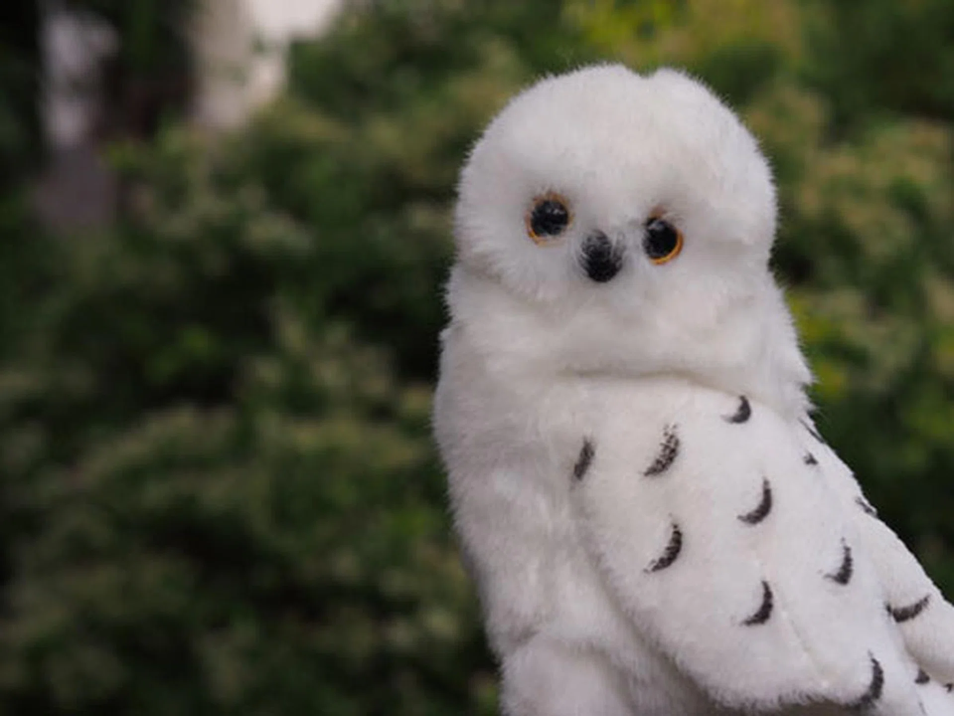 f/8.0 at 90mm (35mm equivalent).