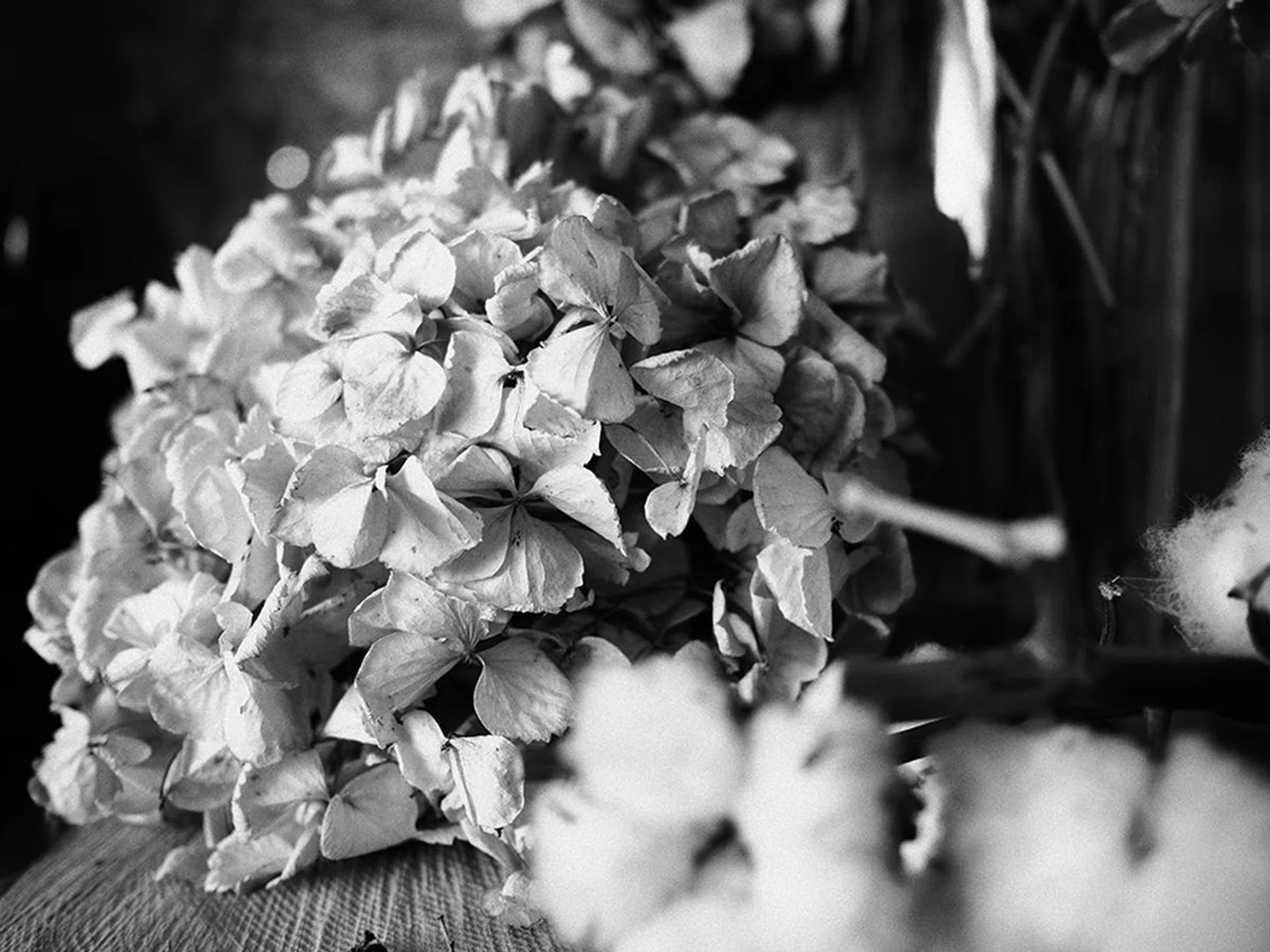 Photographed with Mono Profile 2. f/2 at 34mm, 1/100 sec, ISO 200.