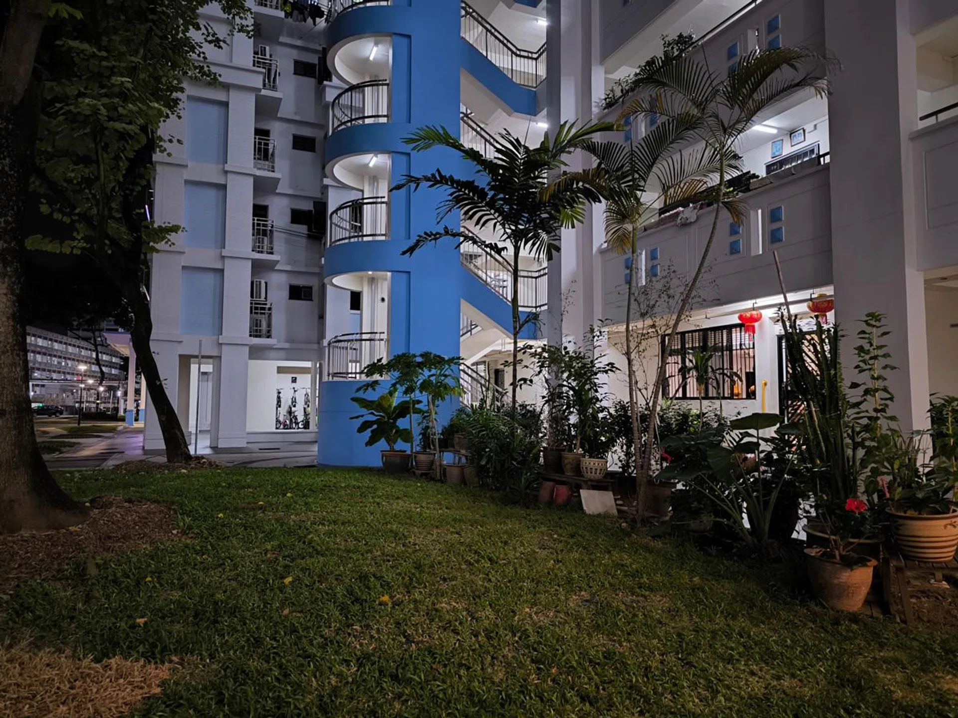 Main camera, night mode.