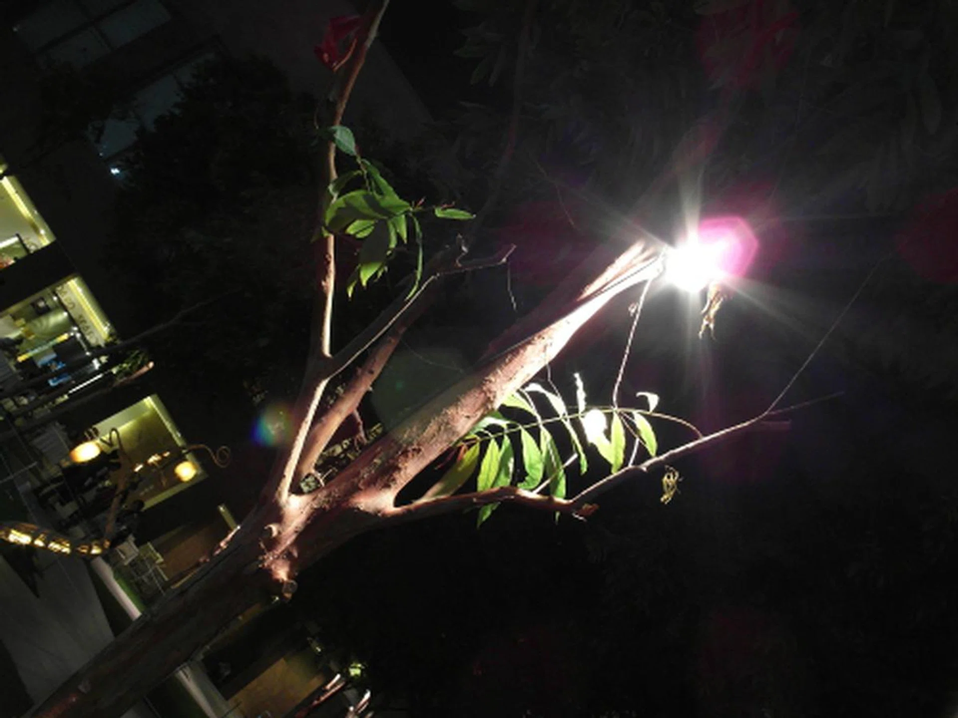 Shot at f/5.5, 1/6 sec, ISO400. The image stabilization coupled with the larger sensor does help in clearer handheld night shots. In fact, by opening the aperture to f/1.4, you can get away with lower ISO settings in some situations. Do remember that with a wider aperture, the depth-of-field is much more shallow.