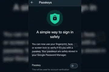 Image source: WABetaInfo