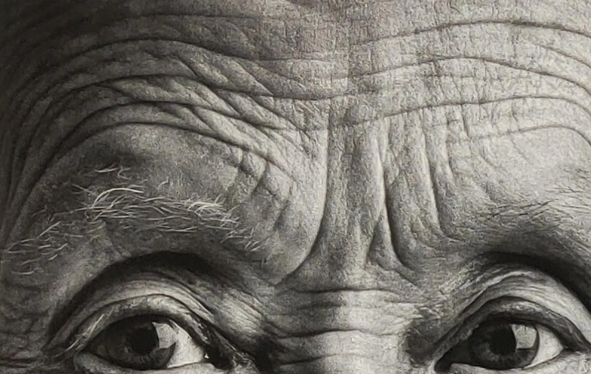 Reno 10x Zoom studio capture- 100% crop